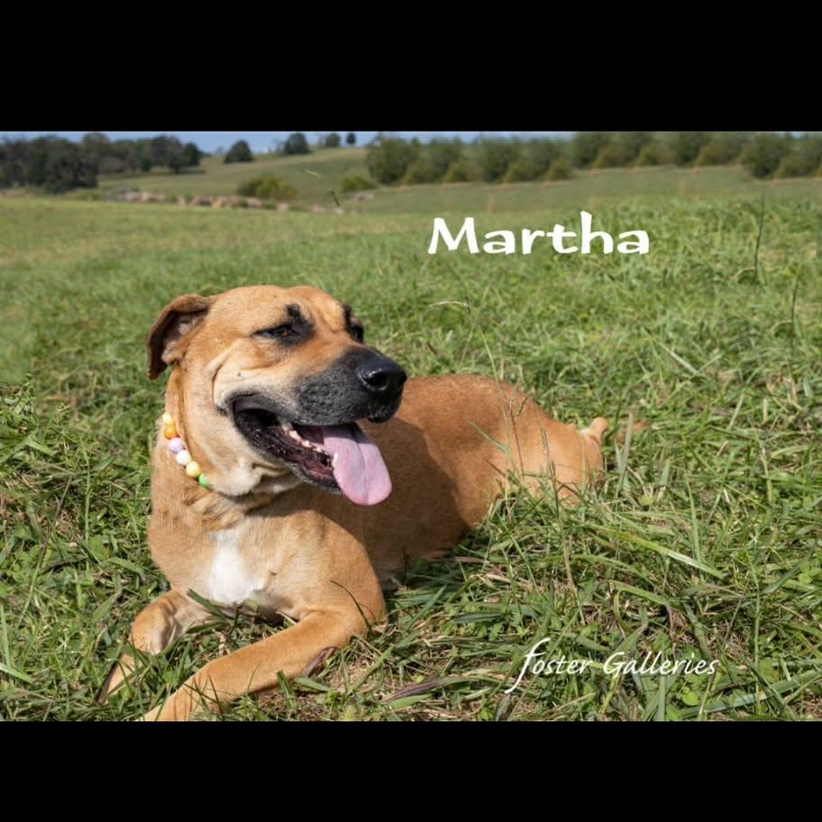 Martha thumbnail 4
