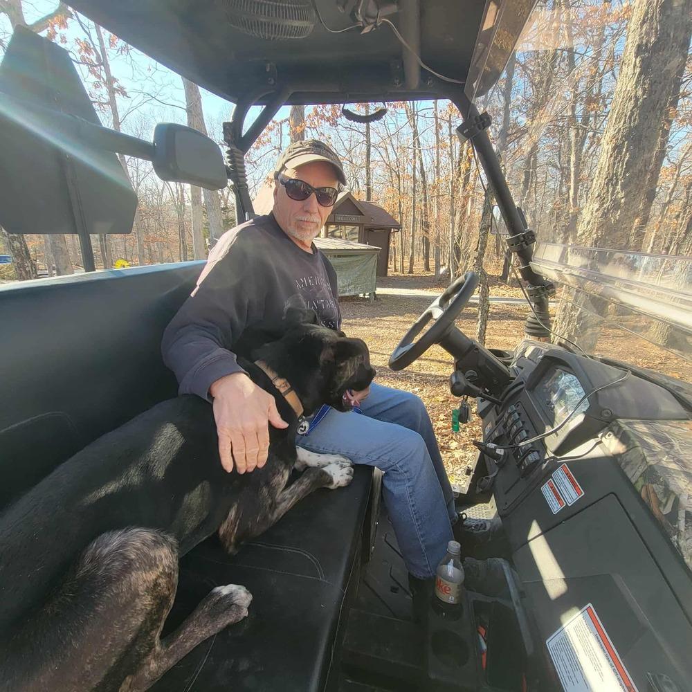 Enlarge Loki aka LIL Jonathan, a Adoptable mixed breed in Warrenton, MO image 3/6