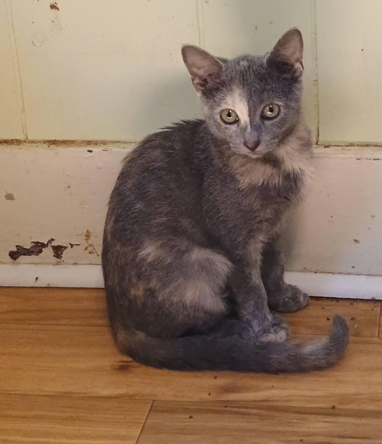 Tetris - gentle & cuddly