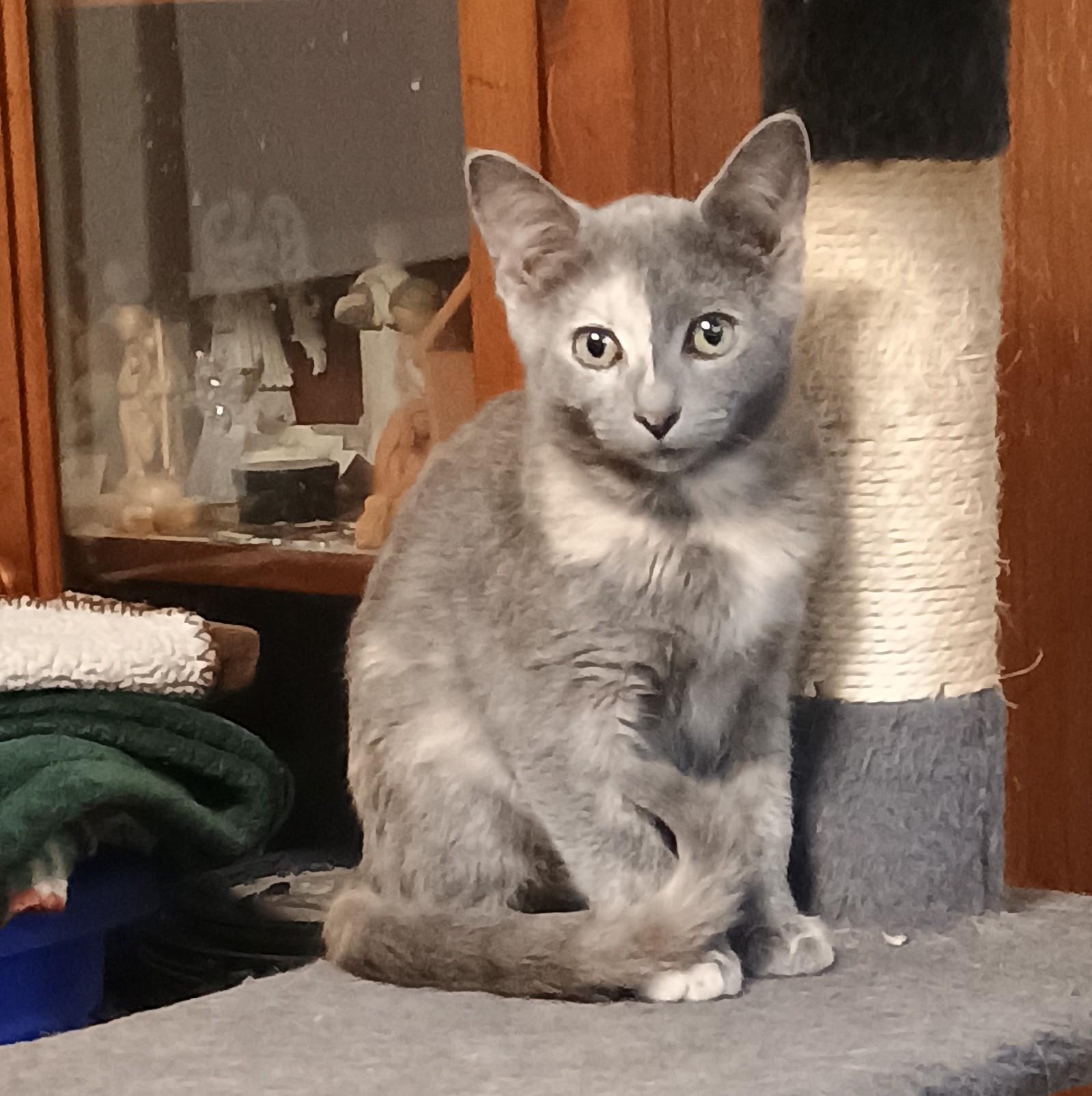 Tetris - gentle & cuddly