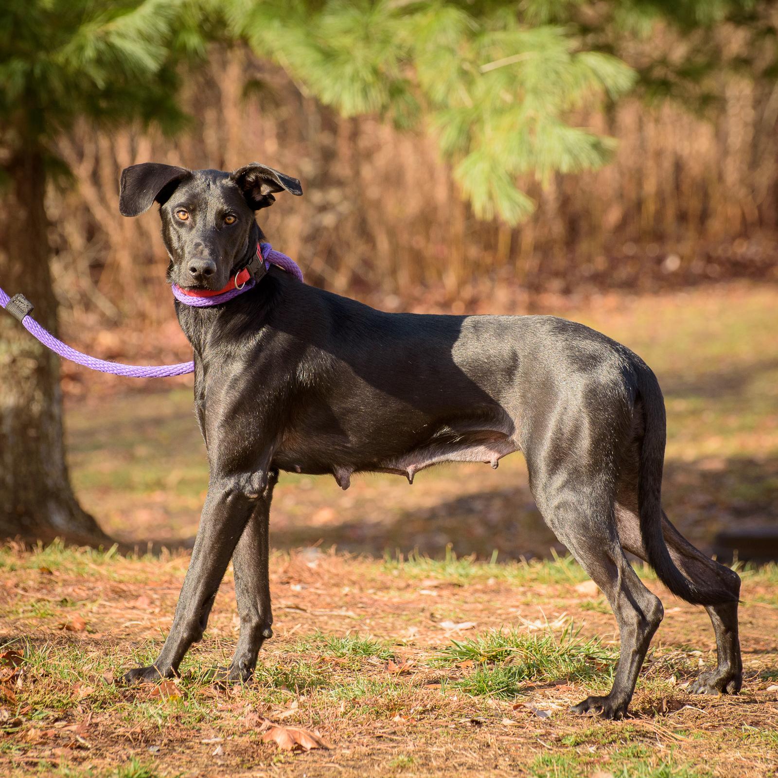 Bonnie - CTS2025 photo 5