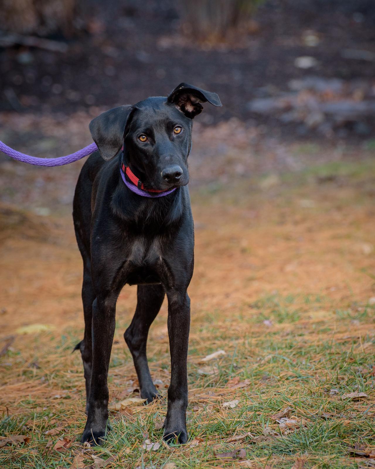 Bonnie - CTS2025 photo 3