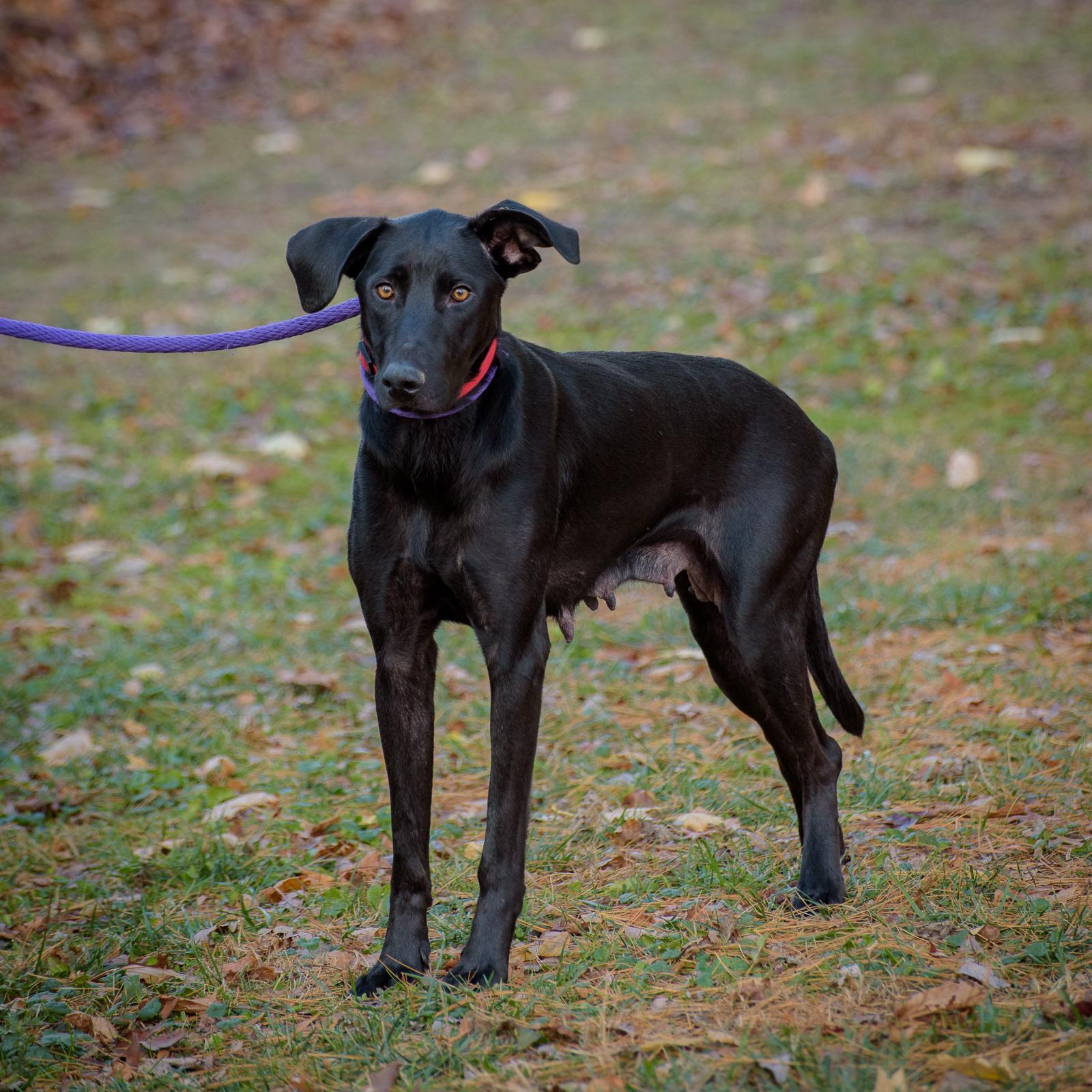 Bonnie - CTS2025 photo 4