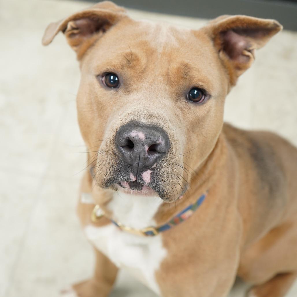 Baymax — thumbnail 2