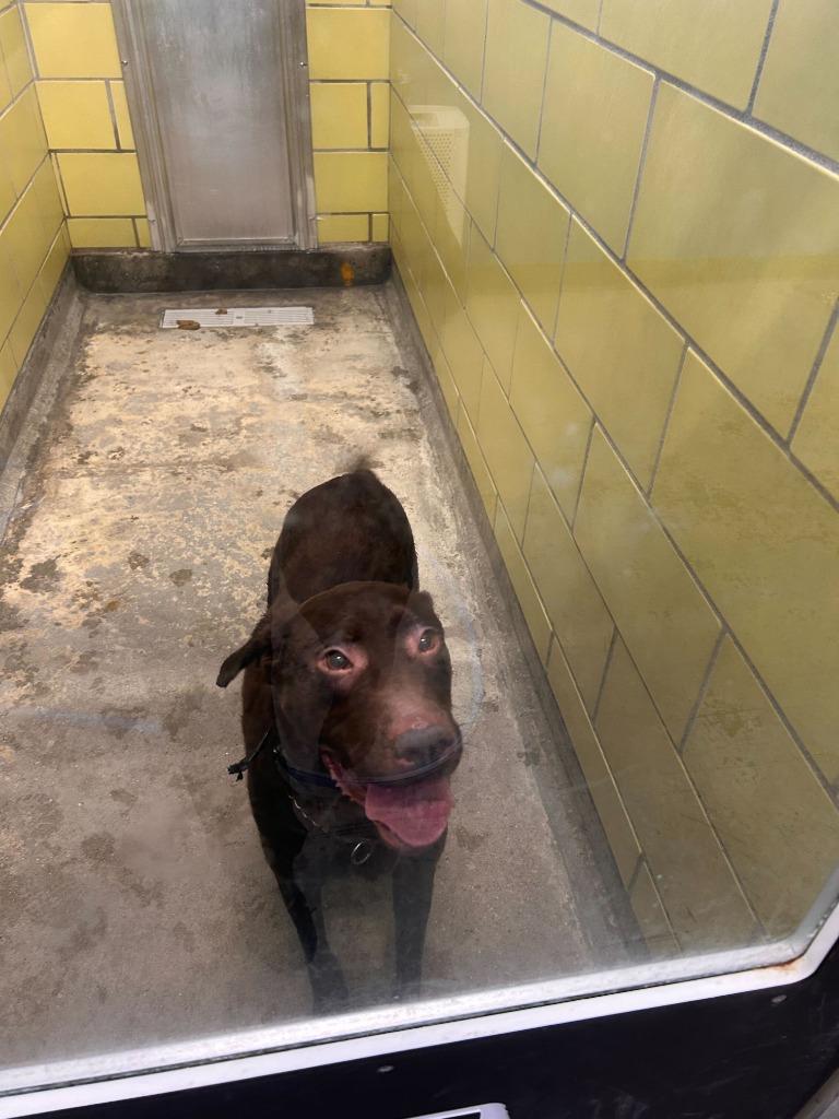 Java — thumbnail 2