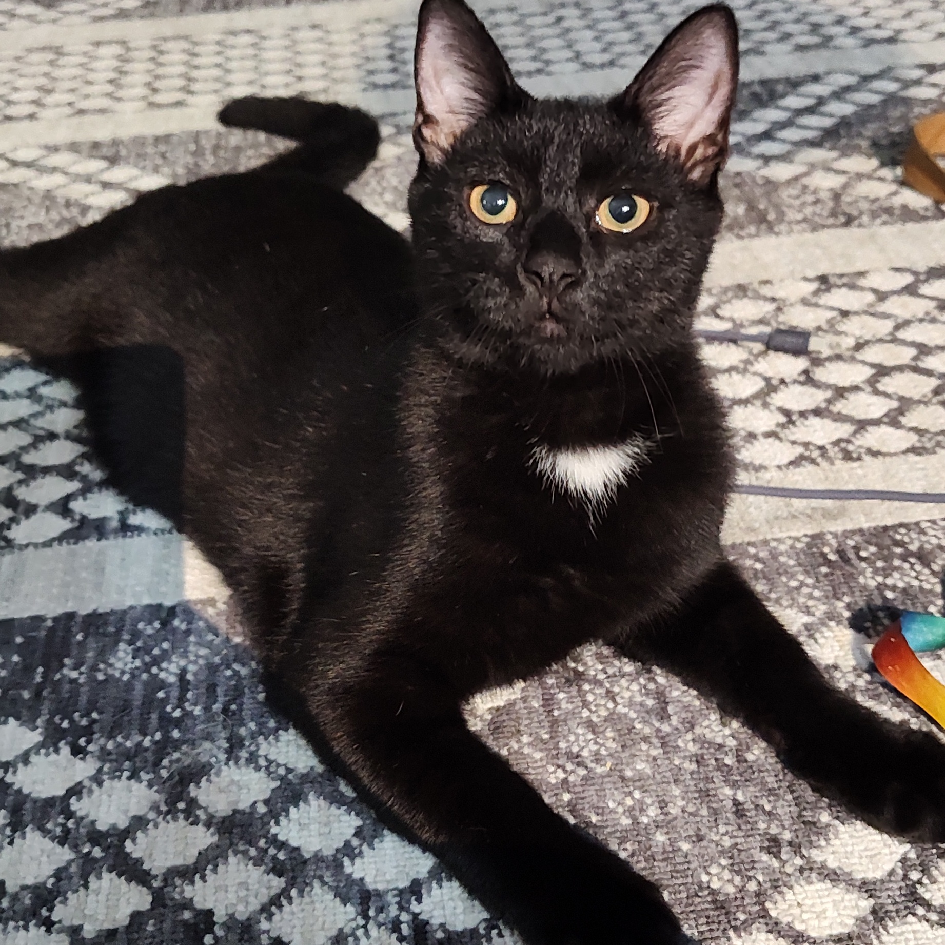 Onyx