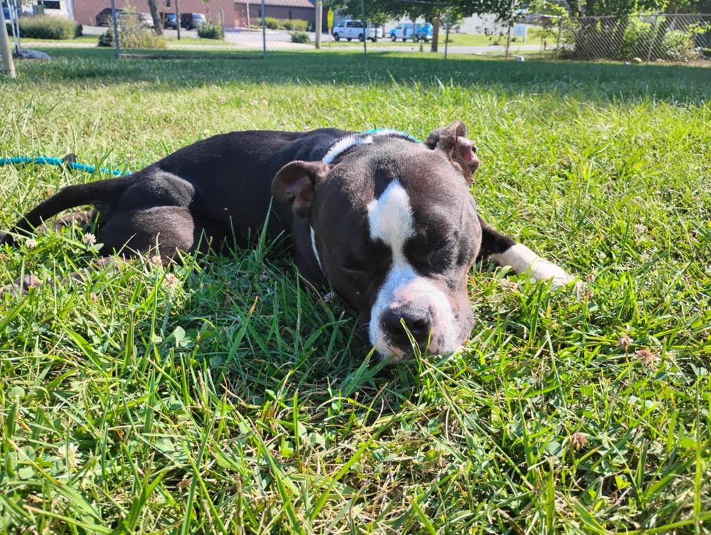 Czarinasponsored thumbnail 2