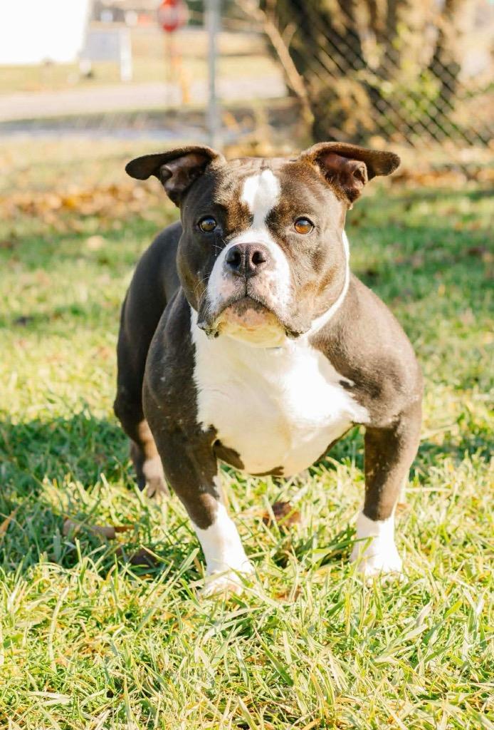 Czarinasponsored thumbnail 5