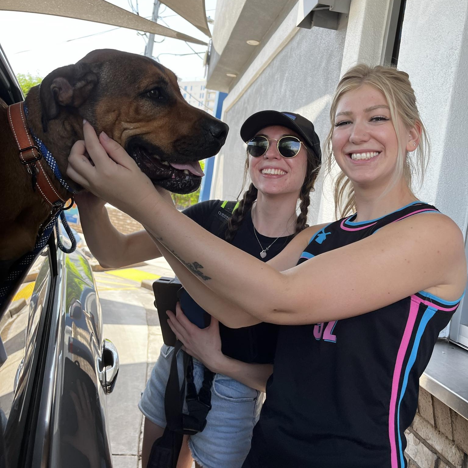 Juju, a Adoptable mixed breed in Marana, AZ image 3/6