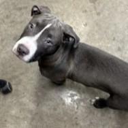 Kace — thumbnail 2