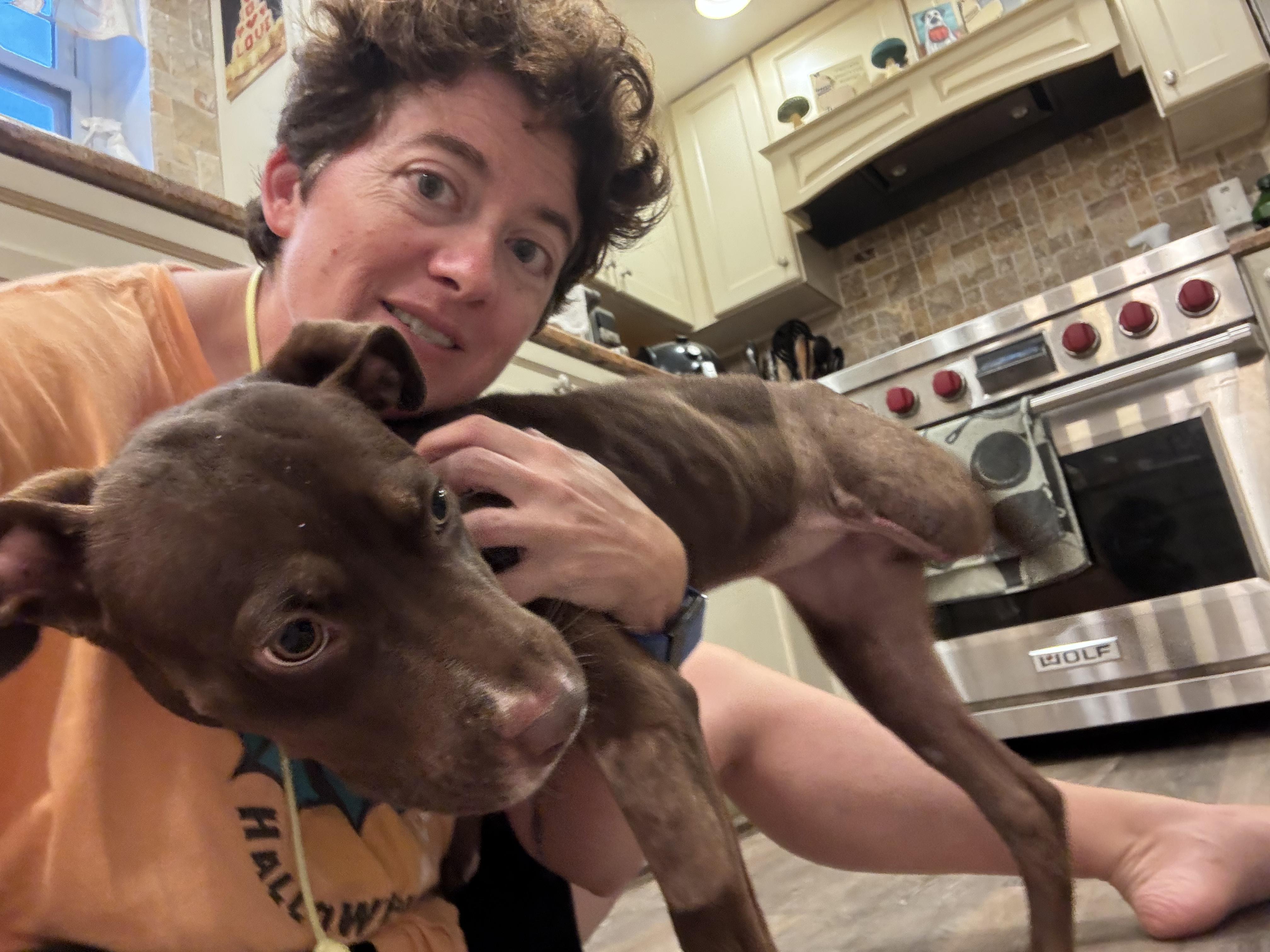 Enlarge Squirt, a ADOPTABLE mixed breed in New Orleans, LA image 5/5