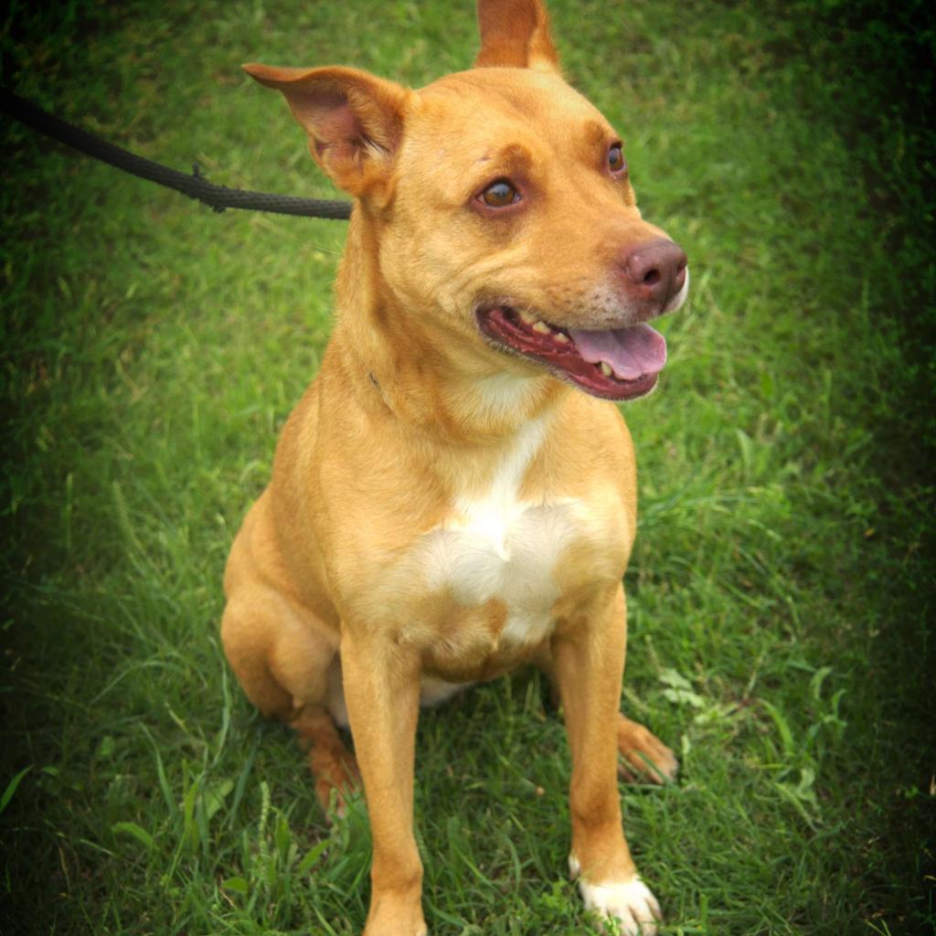 Island Luna JuM — thumbnail 3