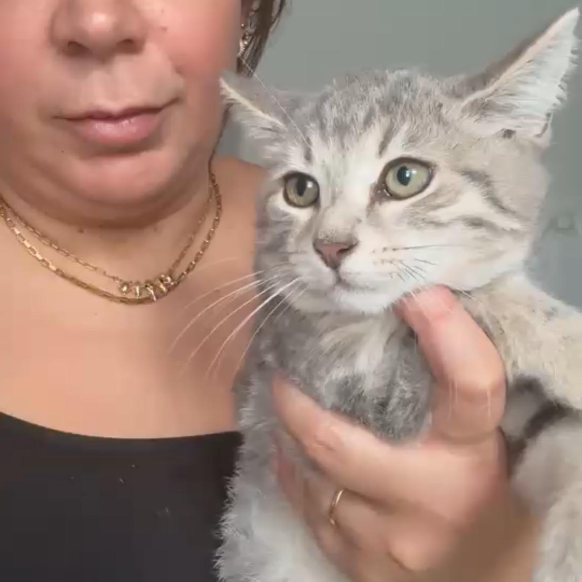 Summit, Flurry or Blizzard