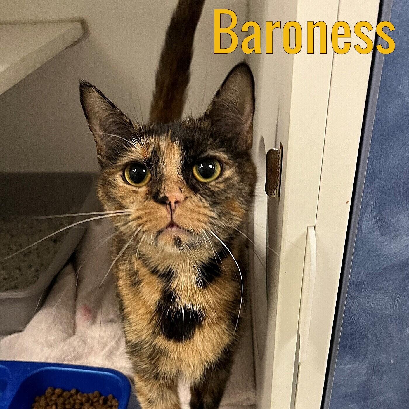 Baroness, Adult Female unknown