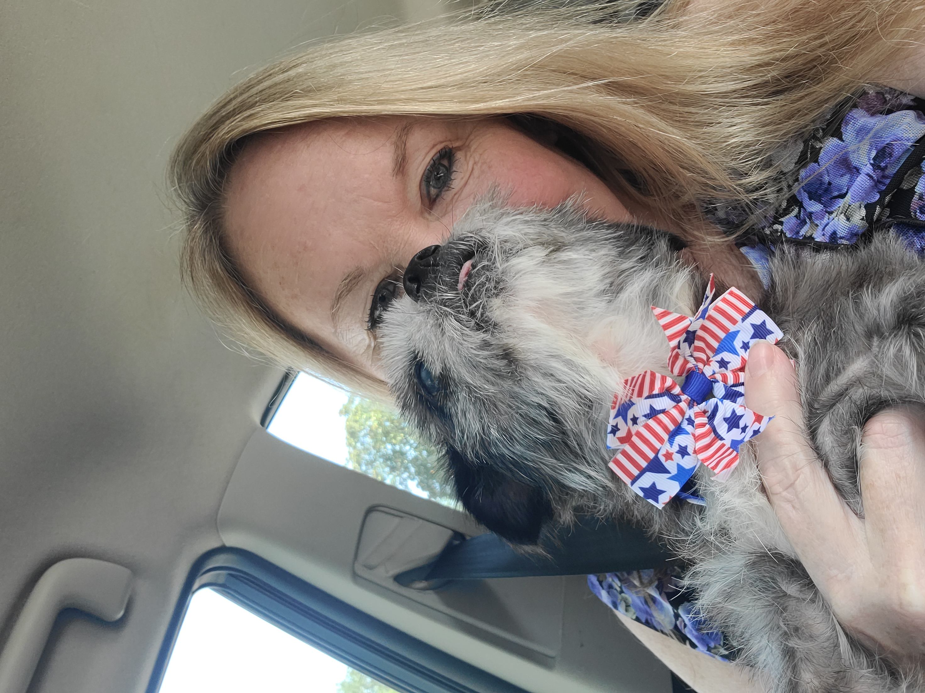 Lil Granny, an adoptable Yorkshire Terrier, Shih Tzu in Blessing, TX, 77419 | Photo Image 2