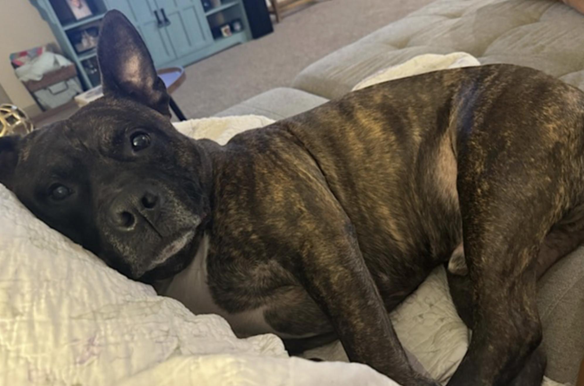 Hexum — thumbnail 5