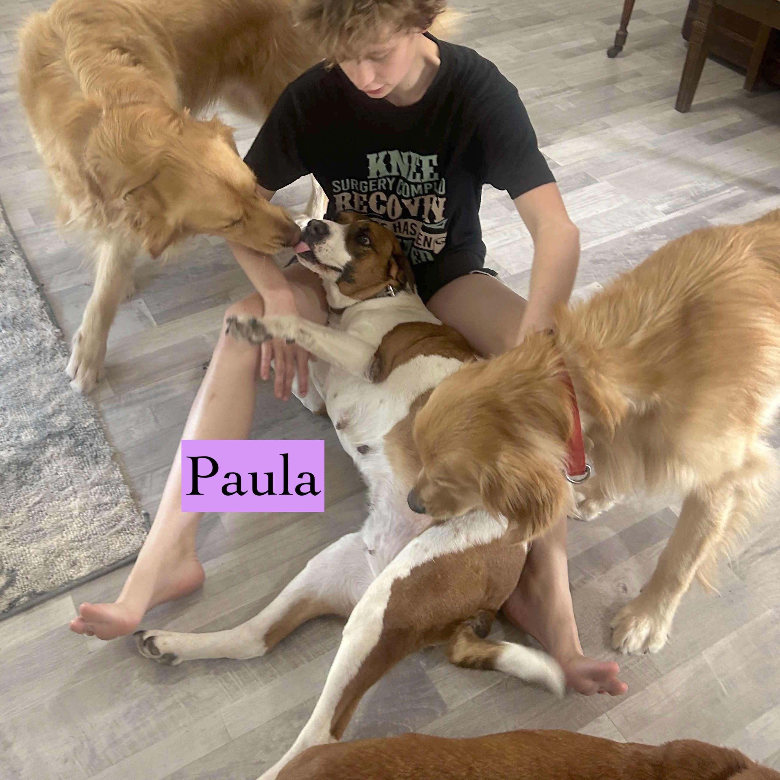 Enlarge Paula, a Adoptable mixed breed in Fort Lupton, CO image 6/6