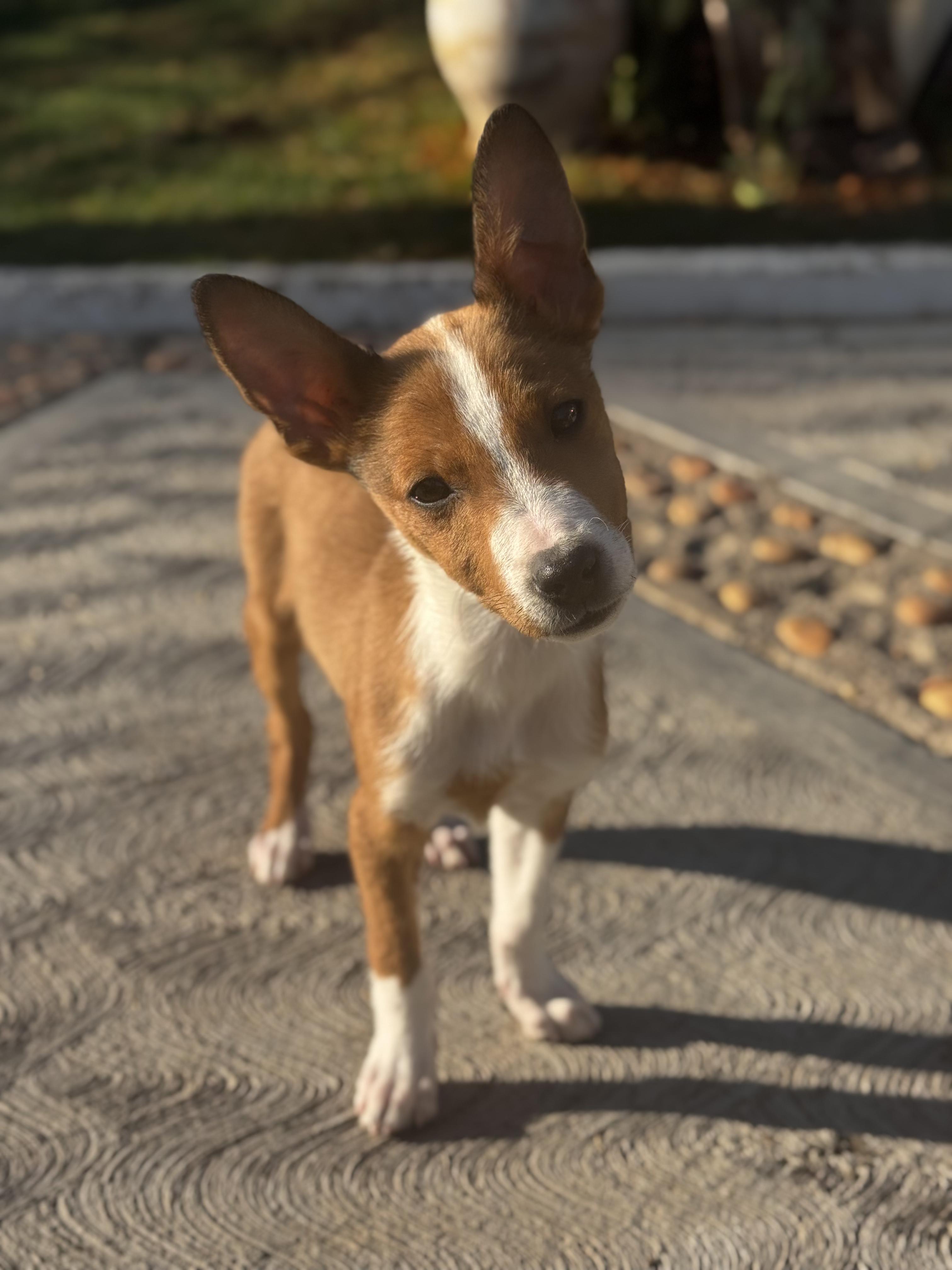 Eric — thumbnail 2