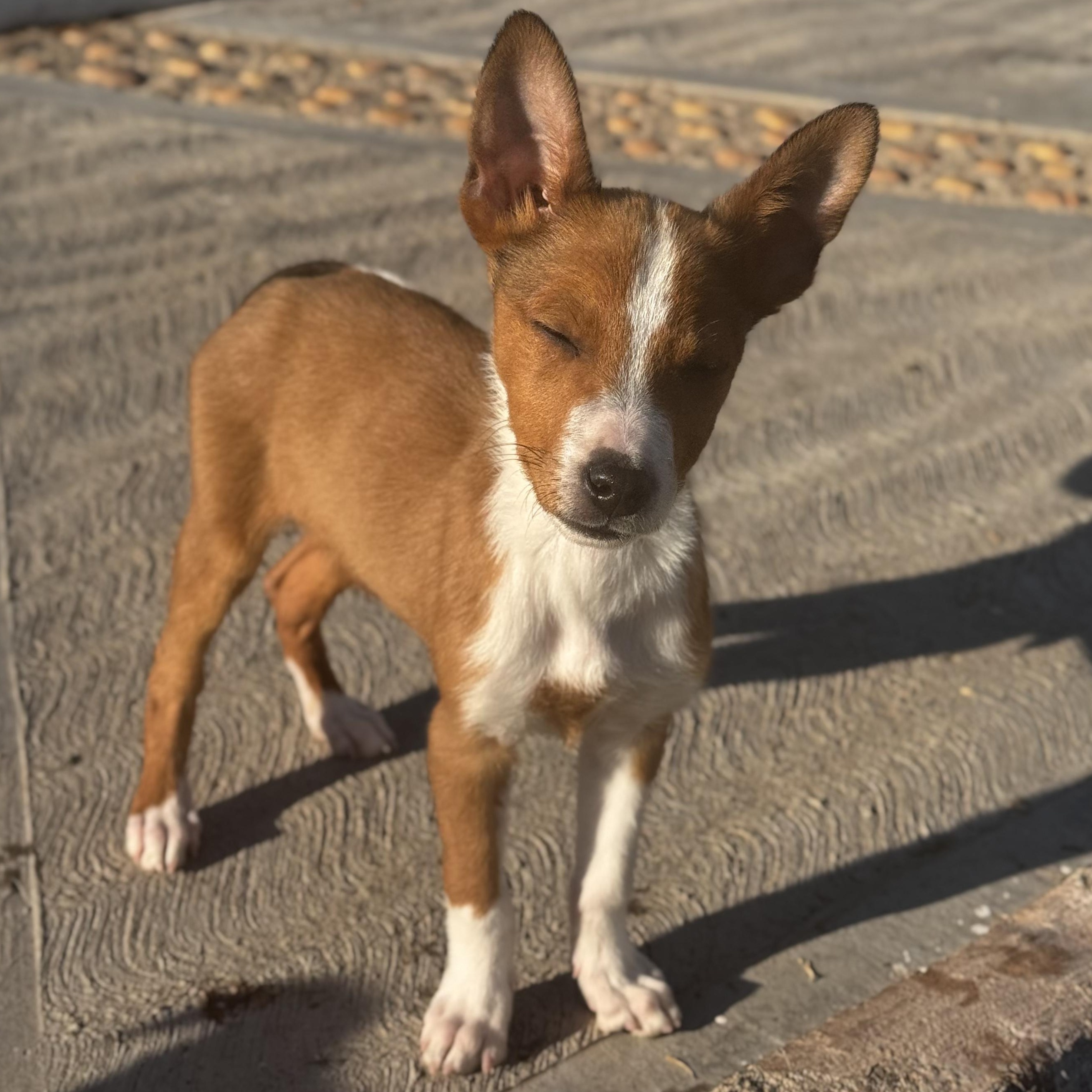 Eric — thumbnail 3