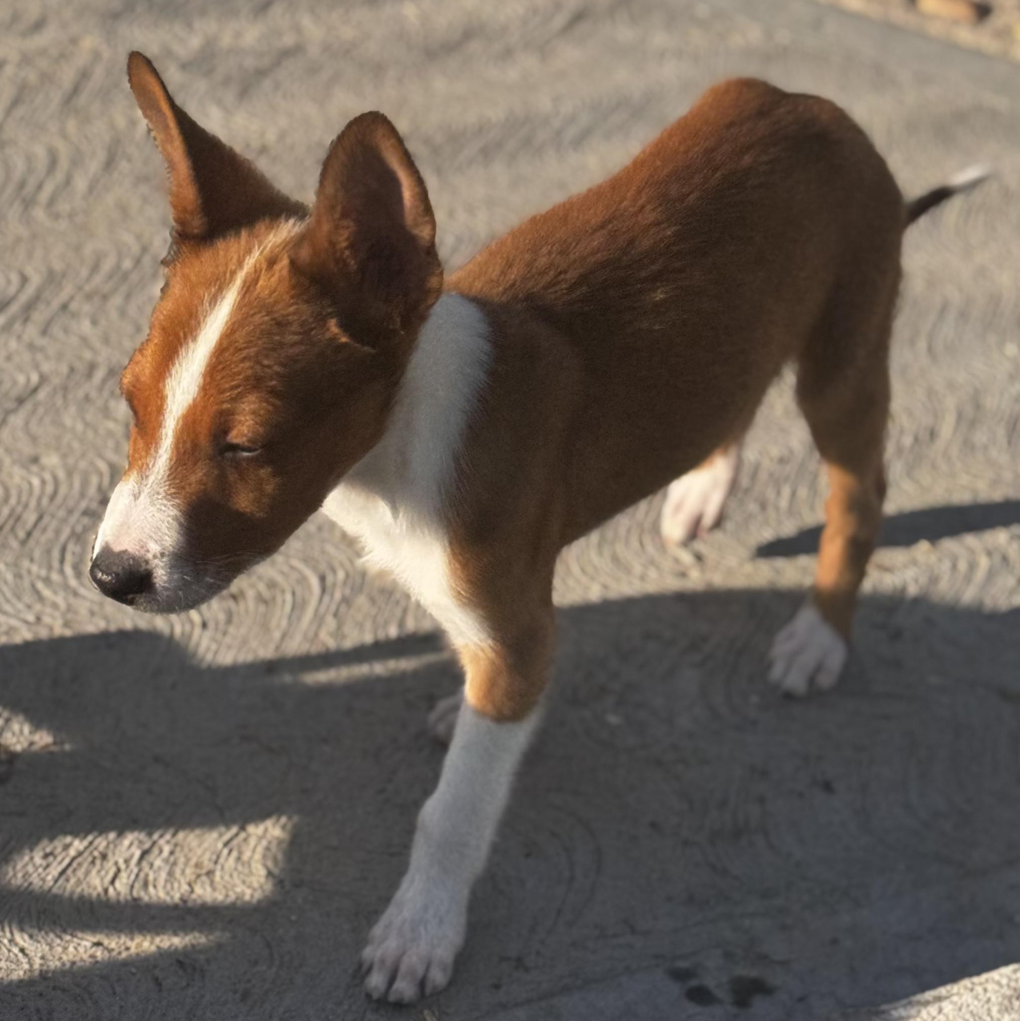 Eric — thumbnail 4