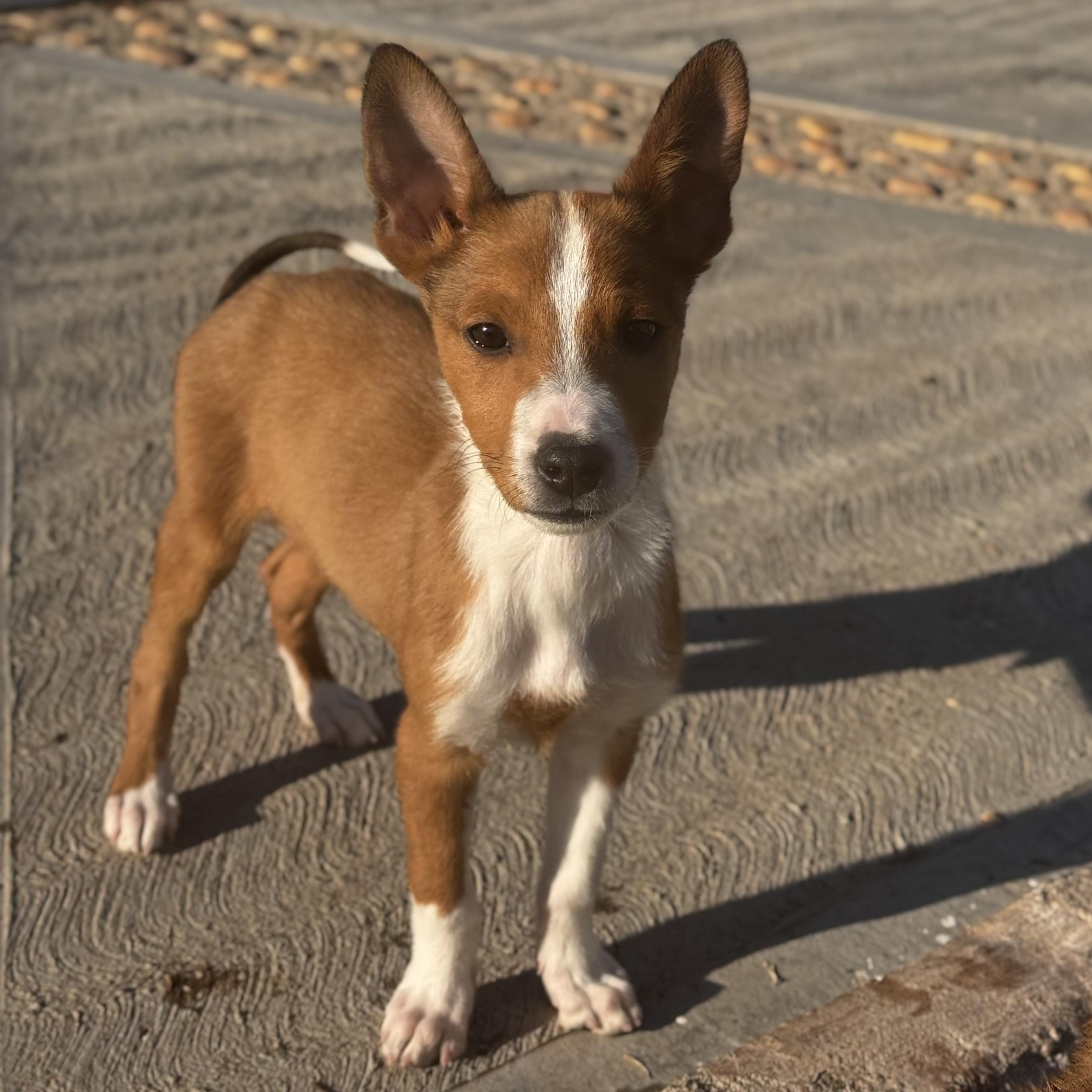 Eric — thumbnail 6