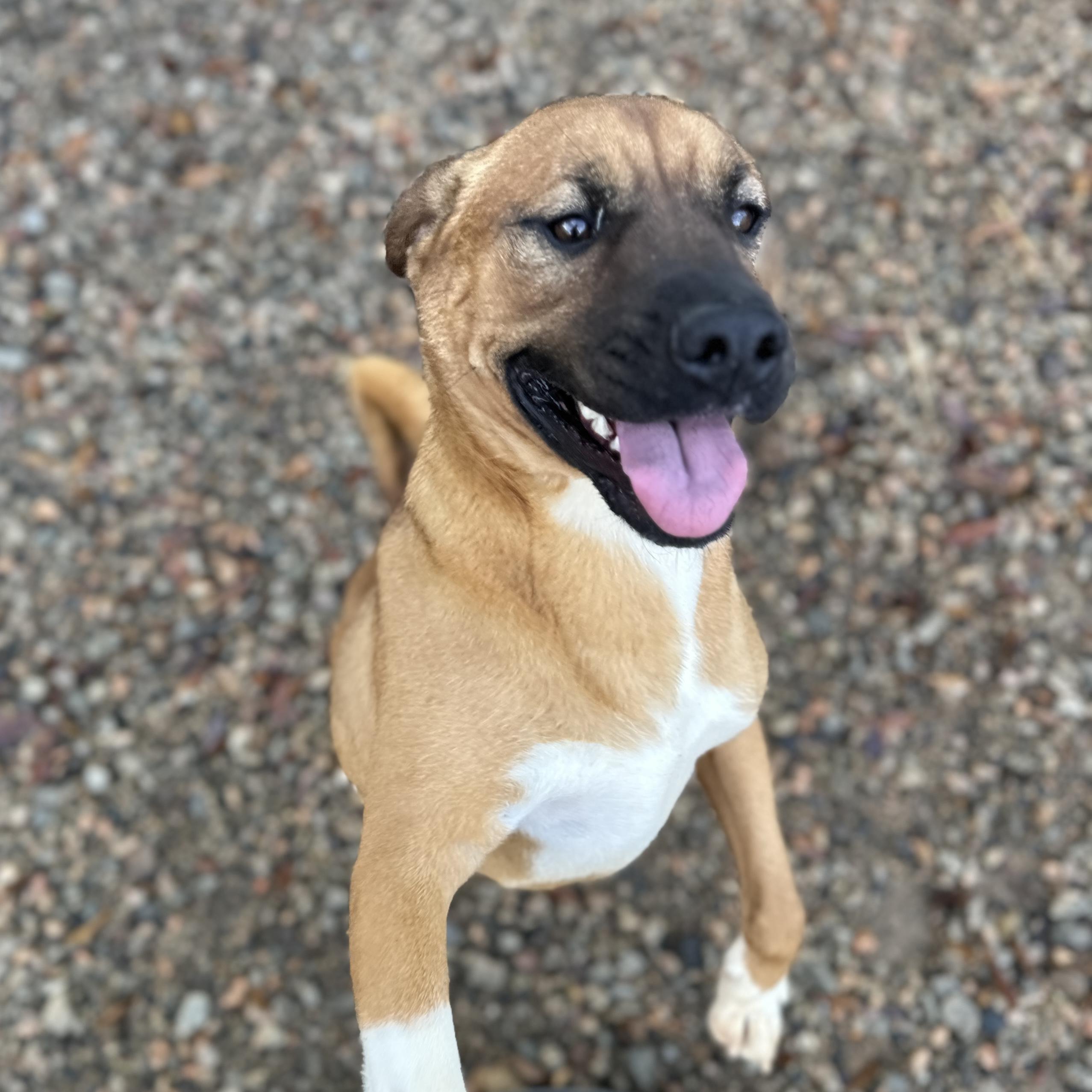 Gilgamesh — thumbnail 2