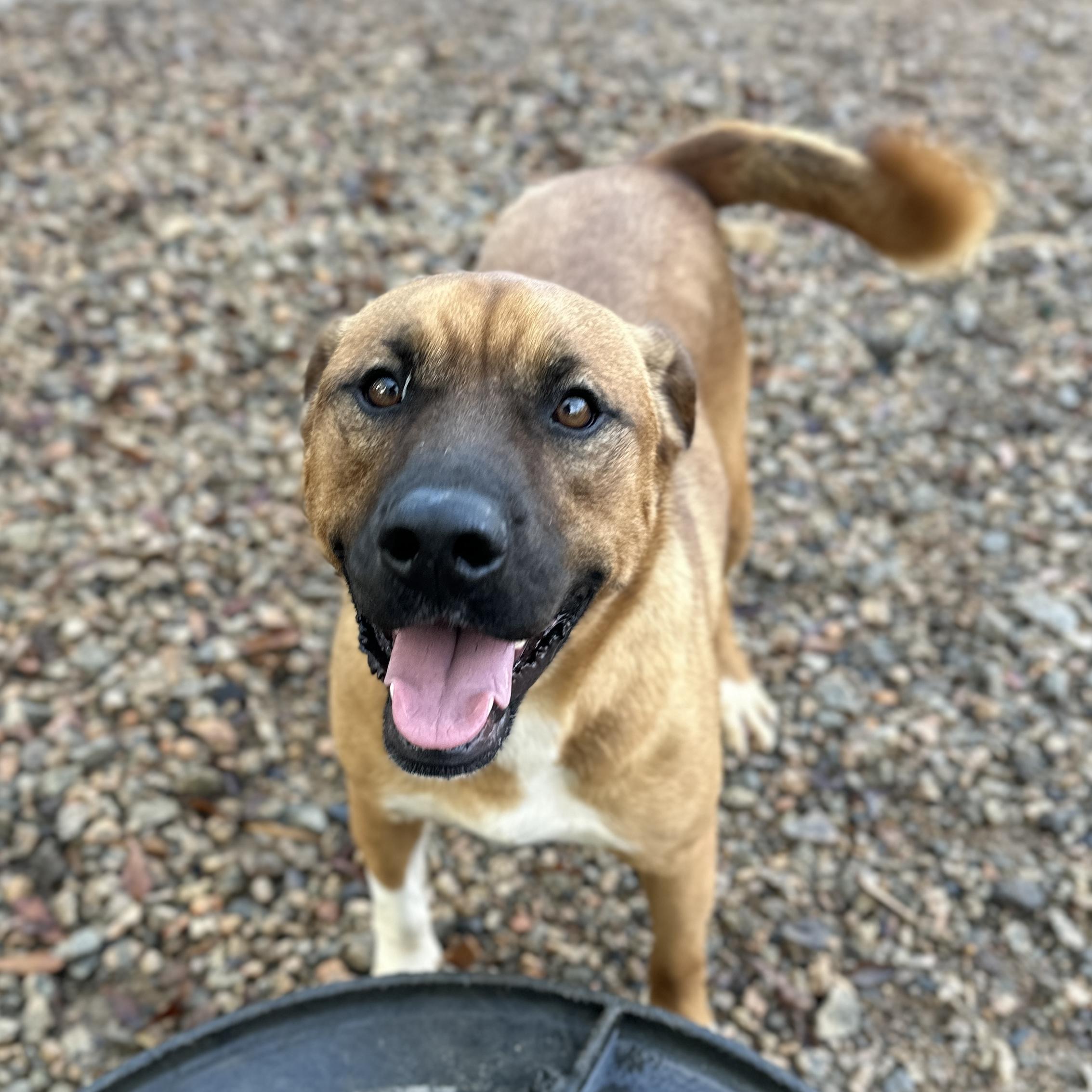 Gilgamesh — thumbnail 3