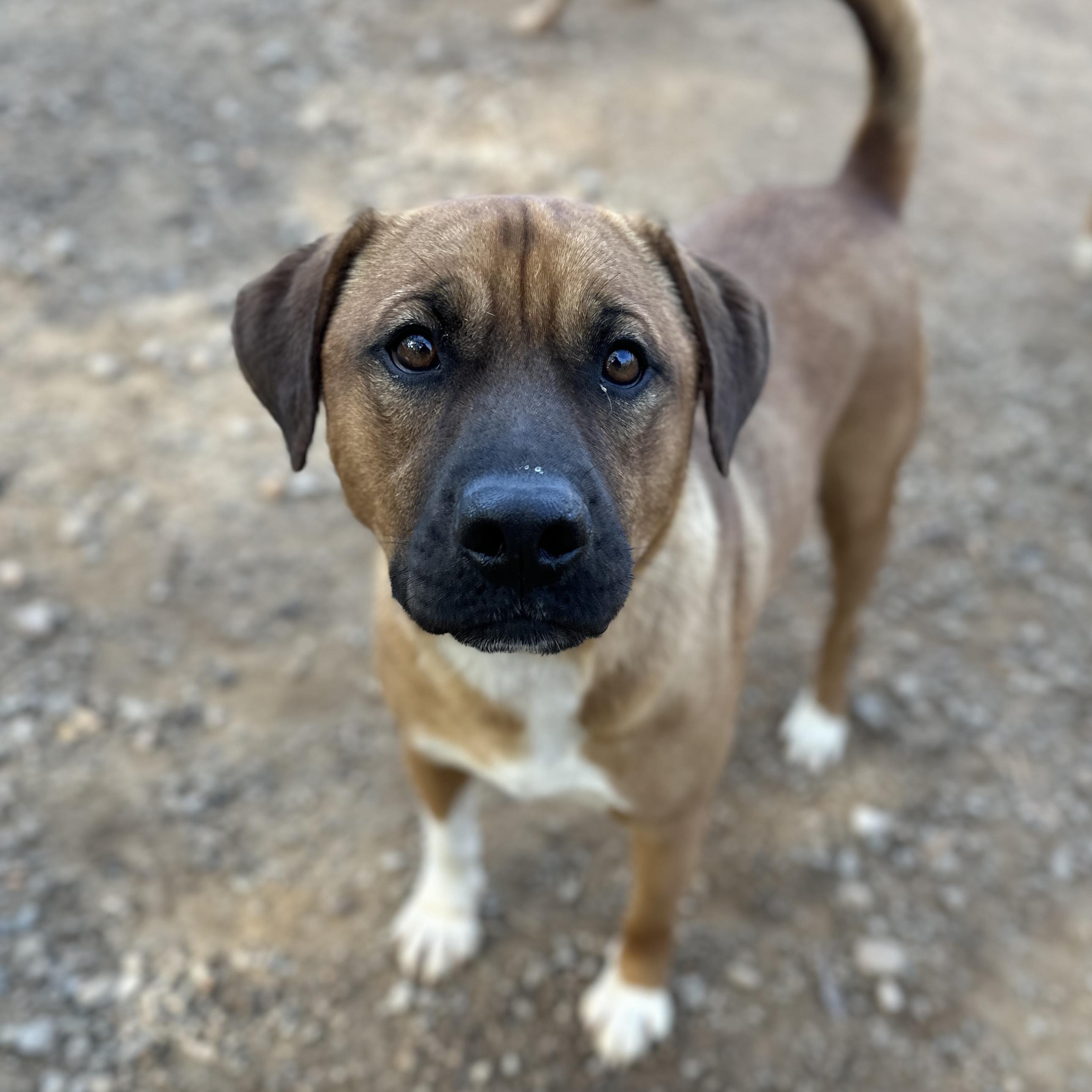 Gilgamesh — thumbnail 4