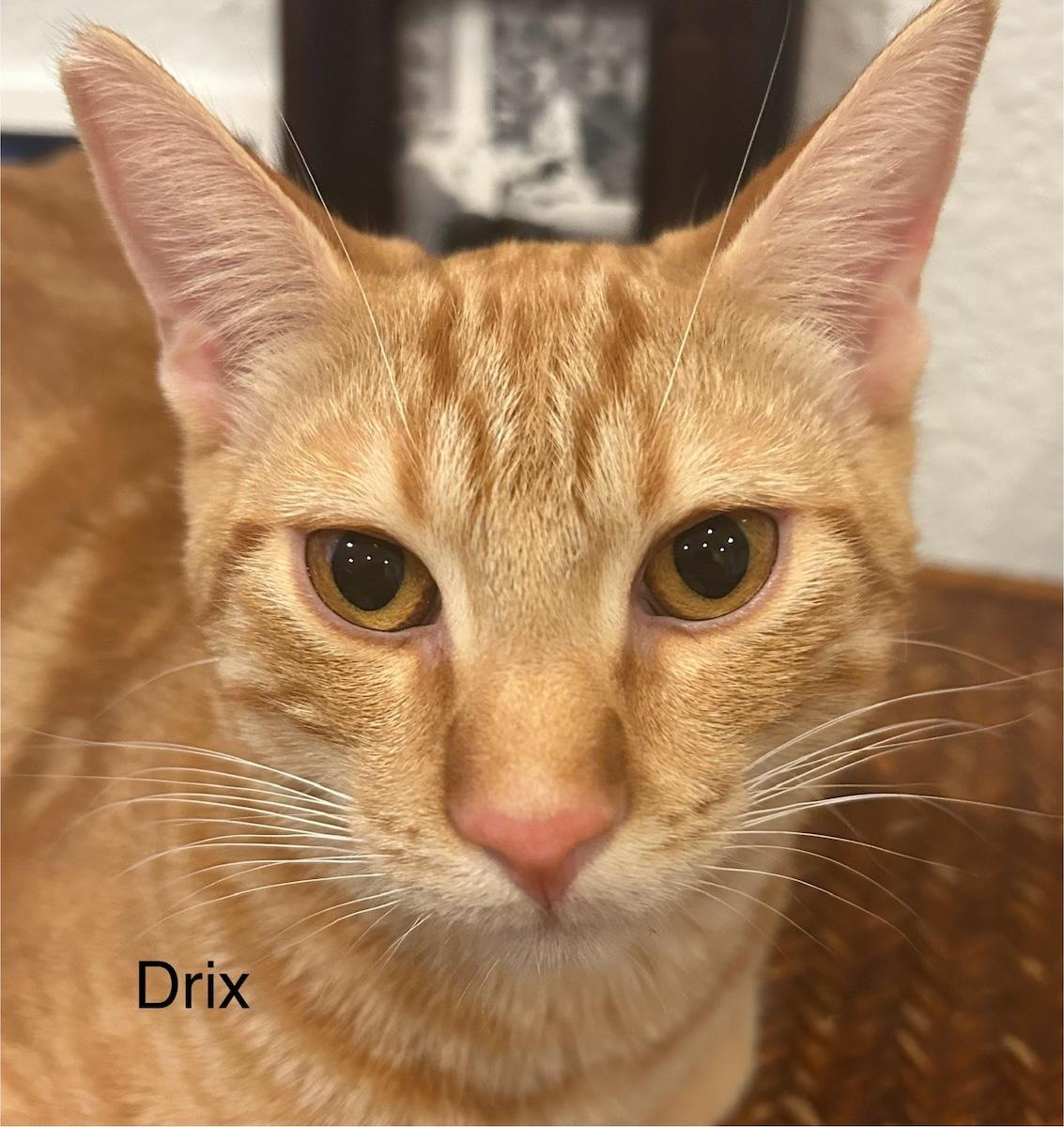 DrixB photo