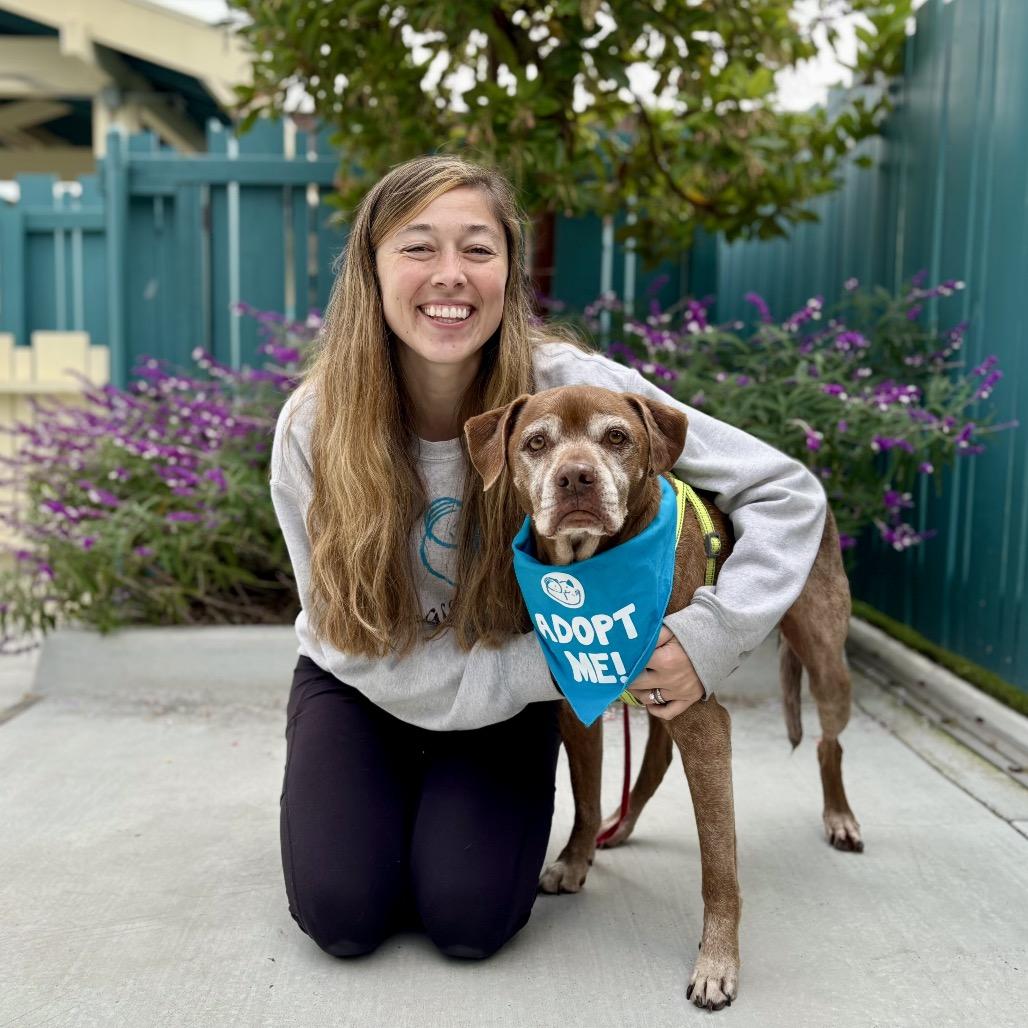 Barley, a Adoptable mixed breed in Pacific Grove, CA image 4/5