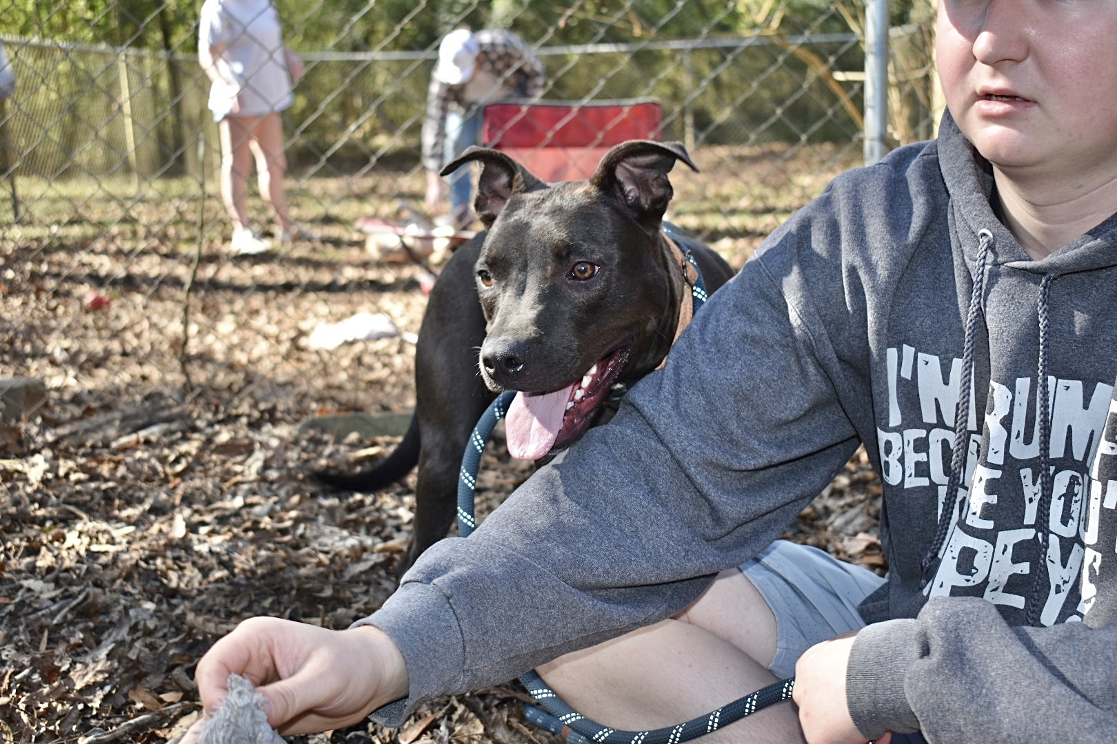 Ginny, a Adoptable mixed breed in Milledgeville, GA image 1/5