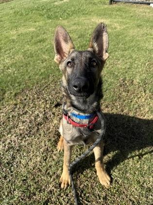 Frank Ocean ( 158788)