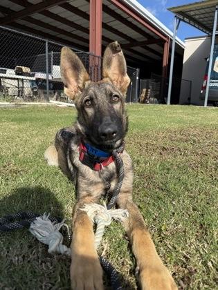 Frank Ocean ( 158788)