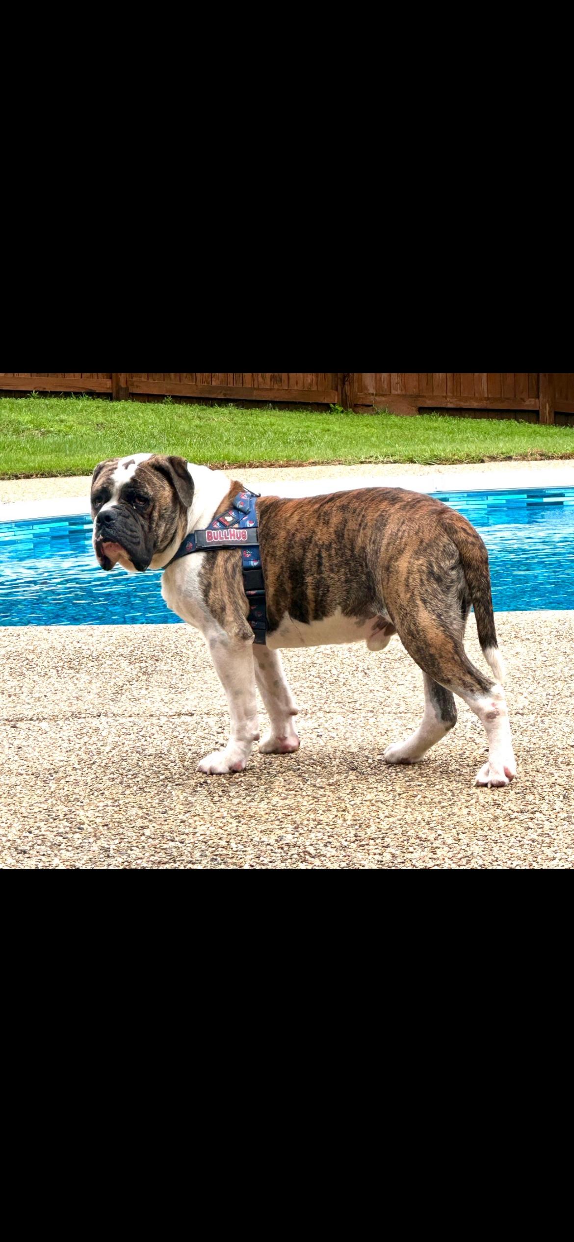 Sweet Sammi photo 2