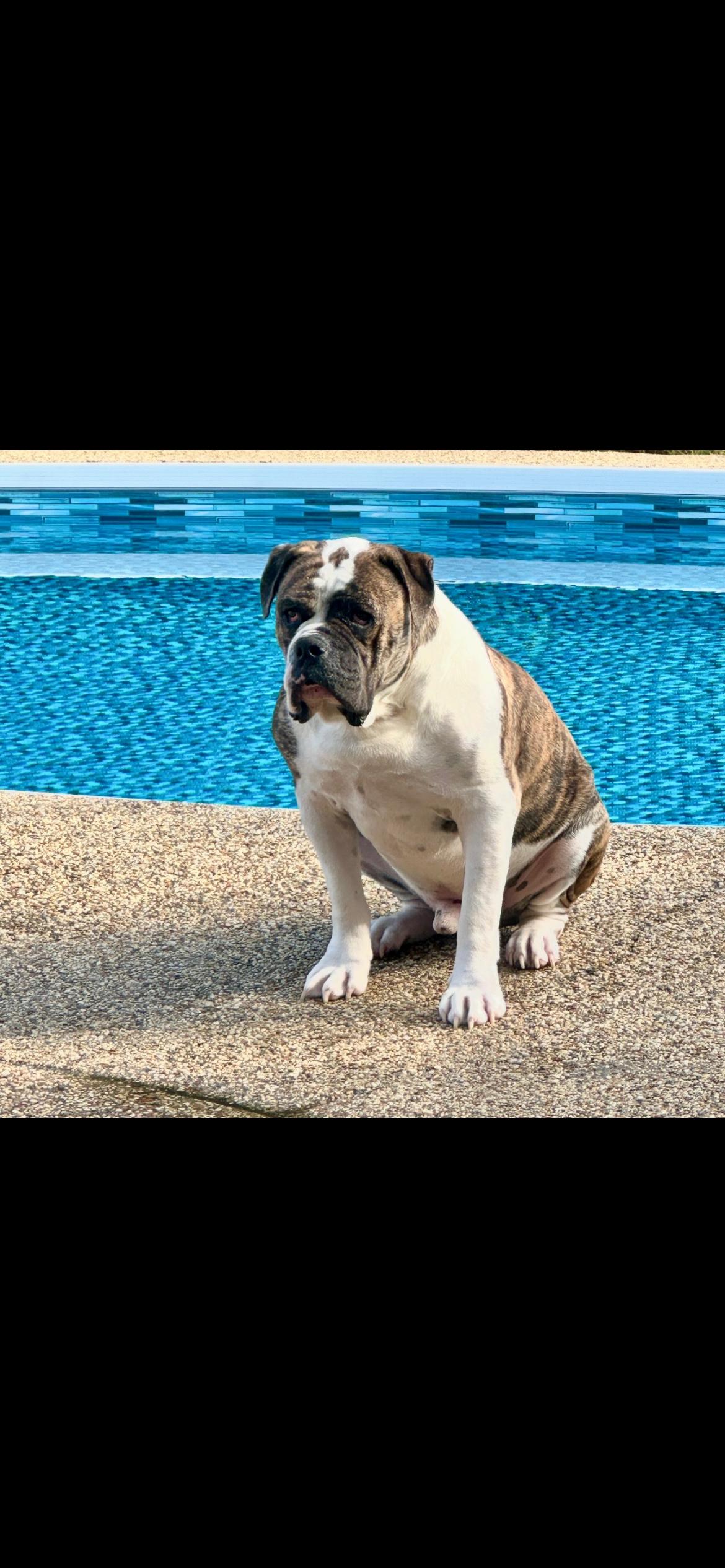 Sweet Sammi