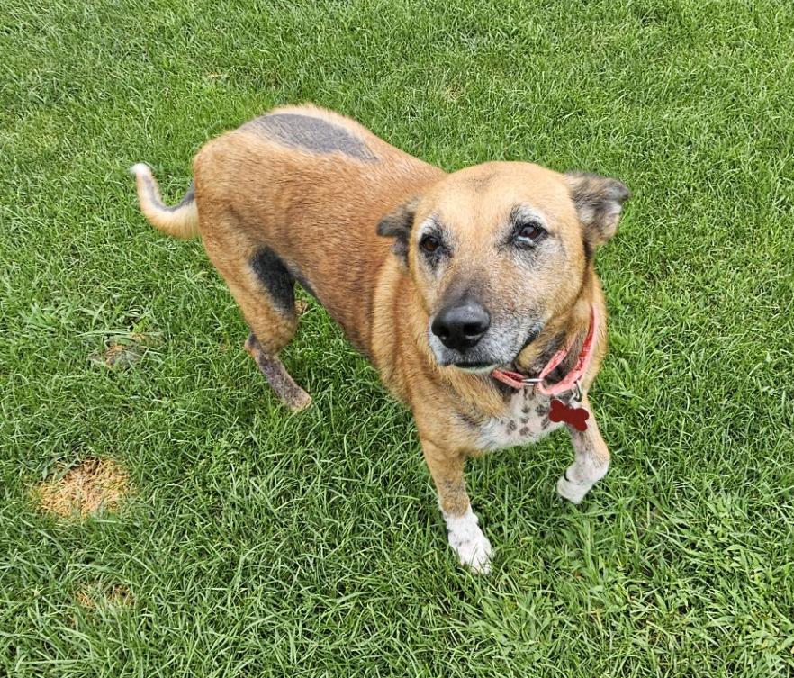 Clara, Senior Female unknown