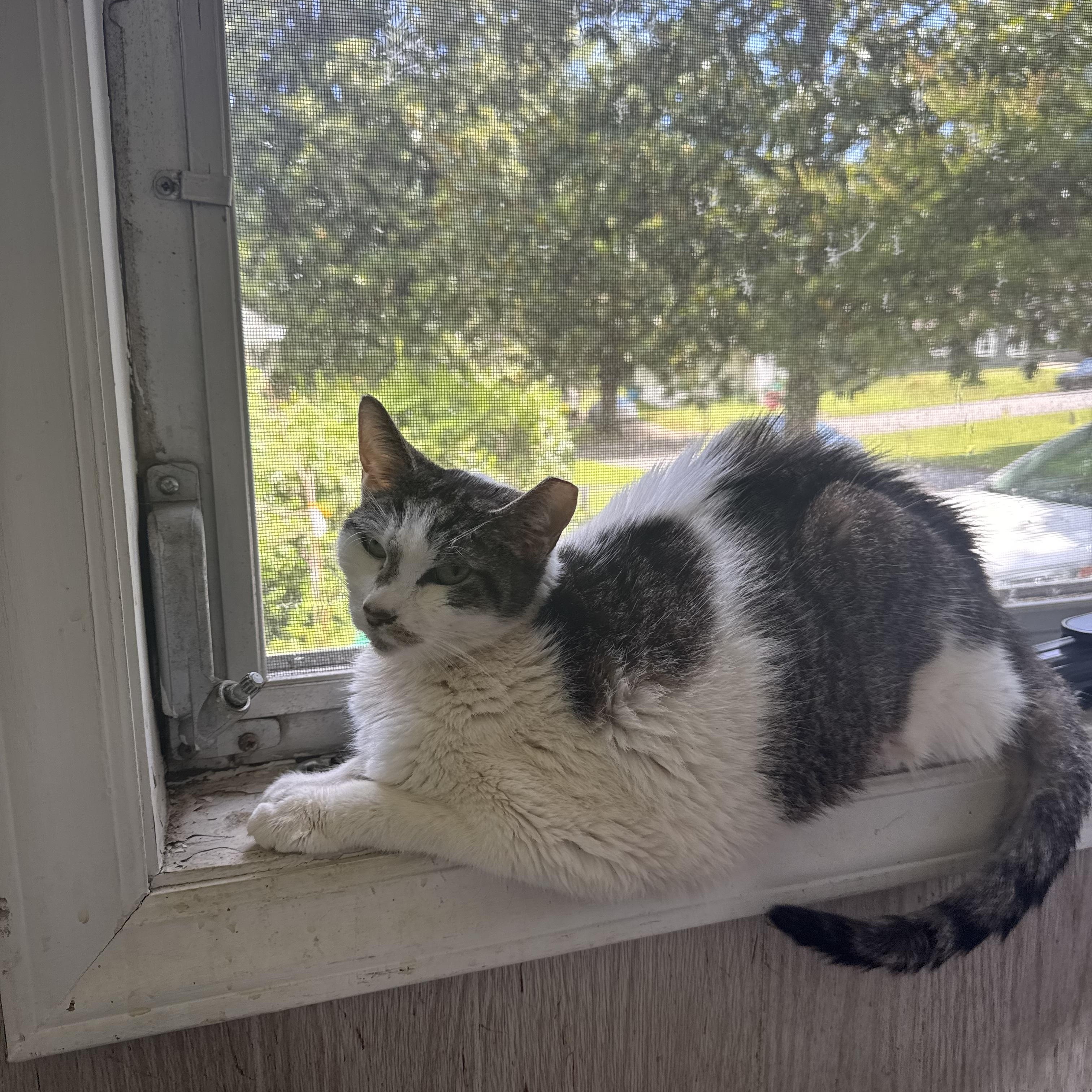 Betty — thumbnail 5