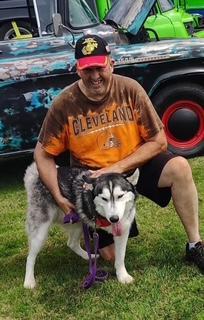 Enlarge Chevy, a Adoptable Siberian Husky in Grove City, OH image 3/7