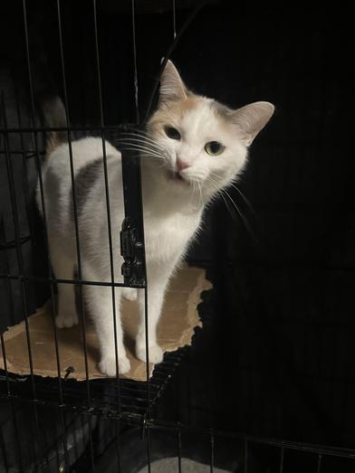 Emily — thumbnail 2