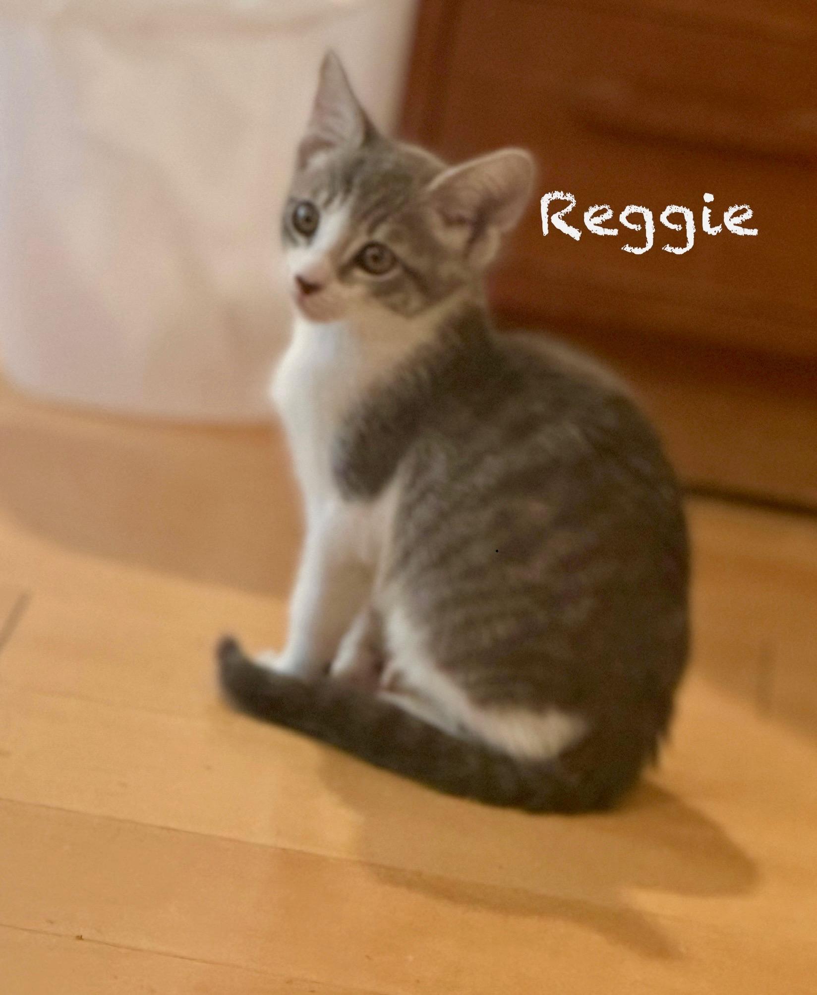 Reggie