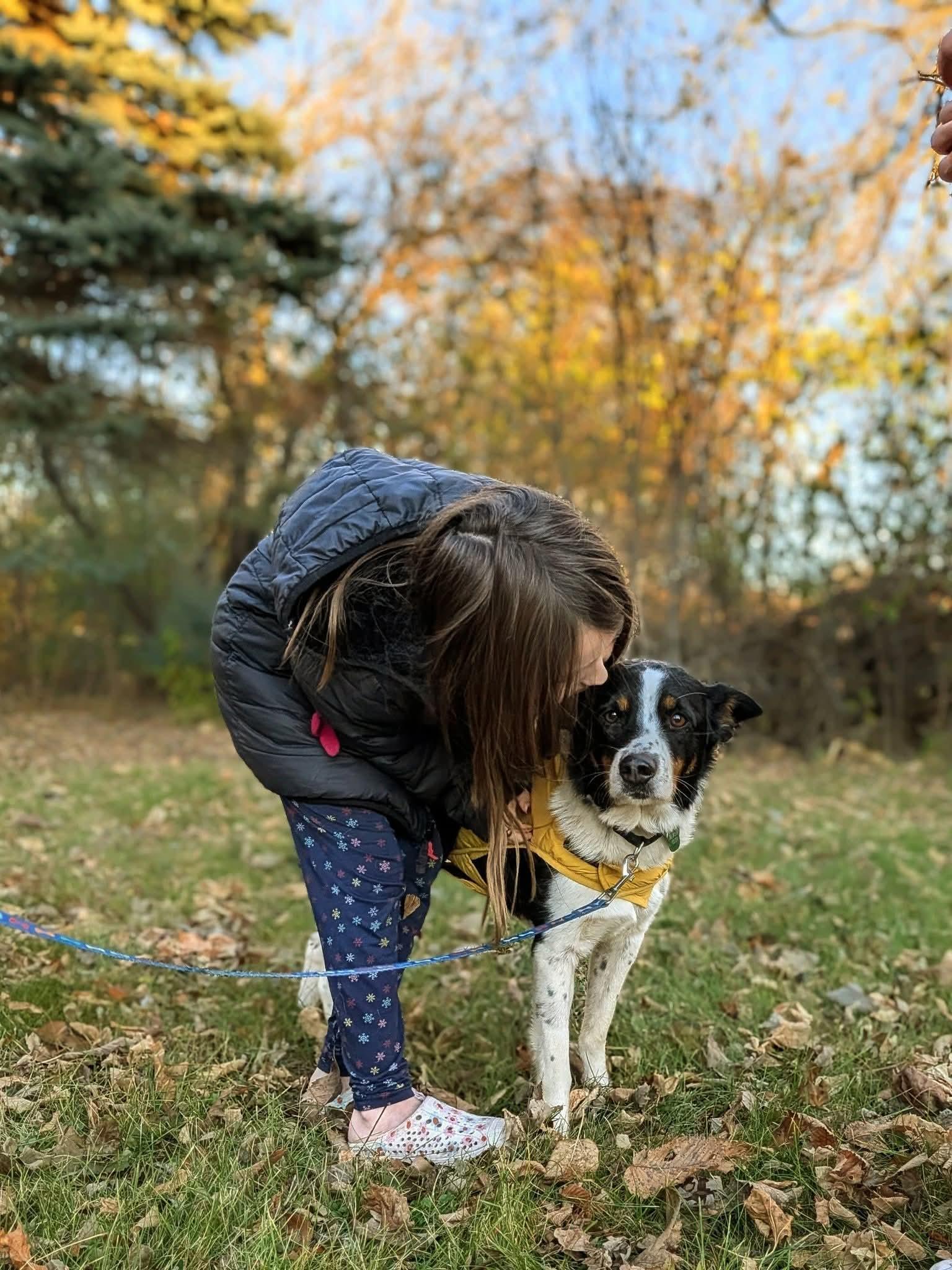 BEXLEY $425, a Adoptable mixed breed in Milwaukee, WI image 3/6