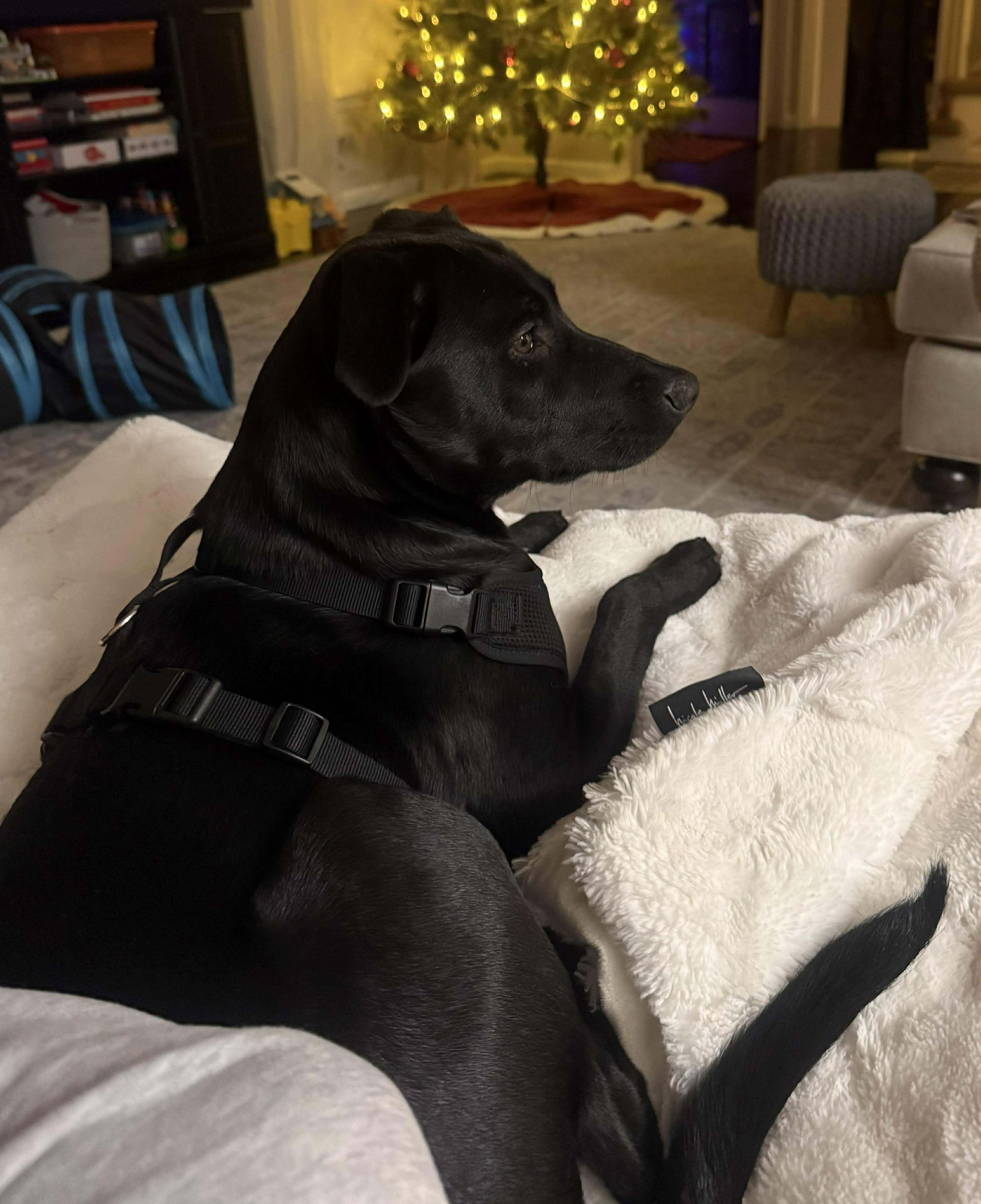 Mina Sara thumbnail 2