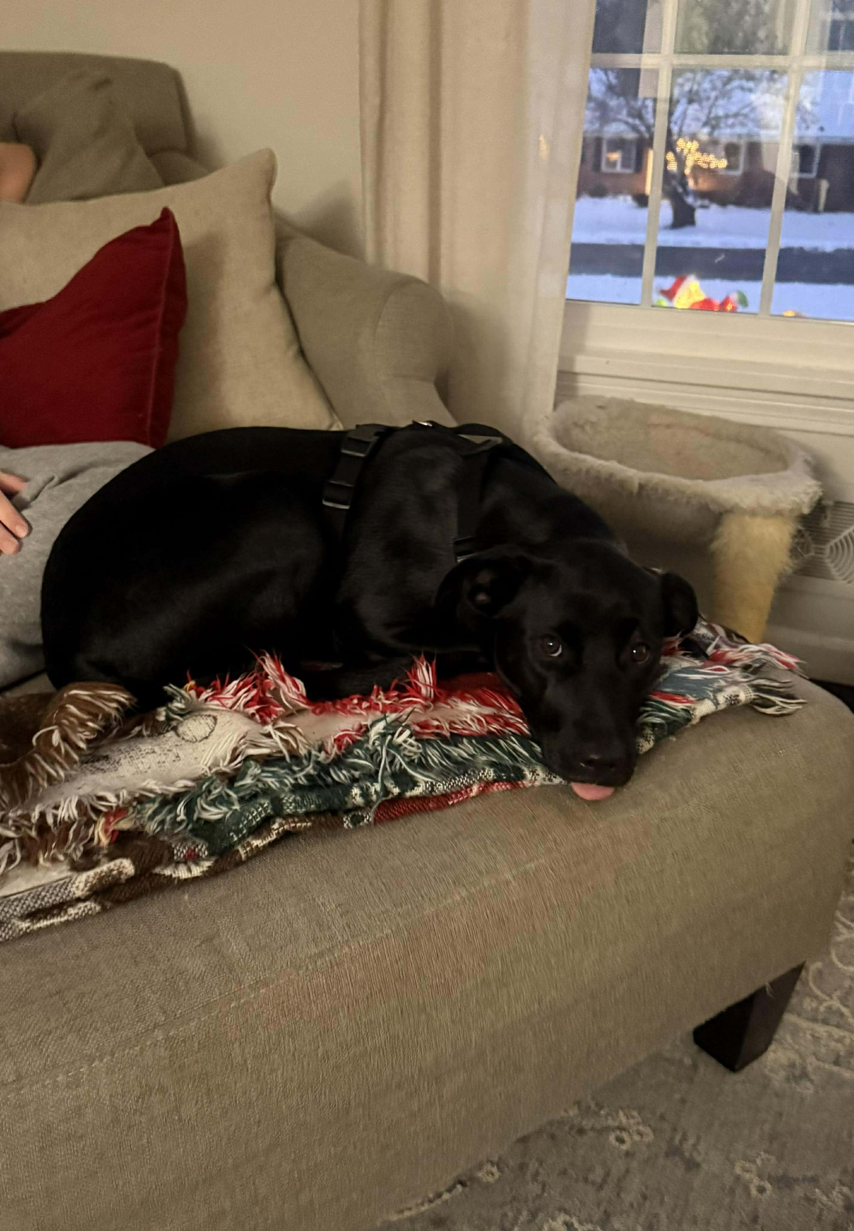 Mina Sara thumbnail 3