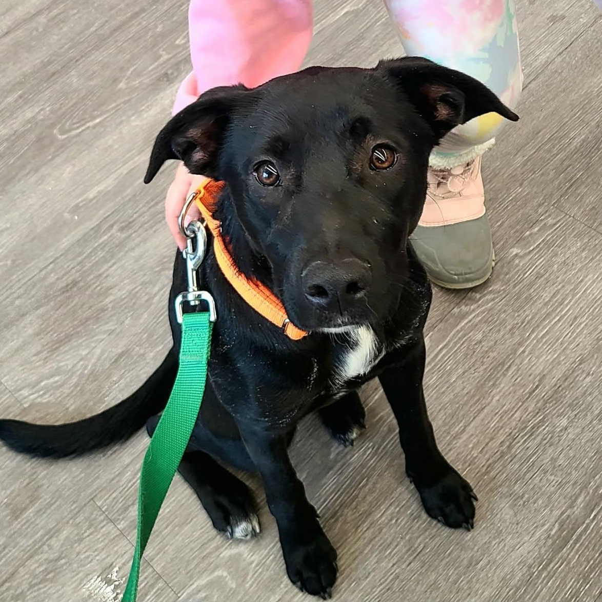 Mina Sara thumbnail 4