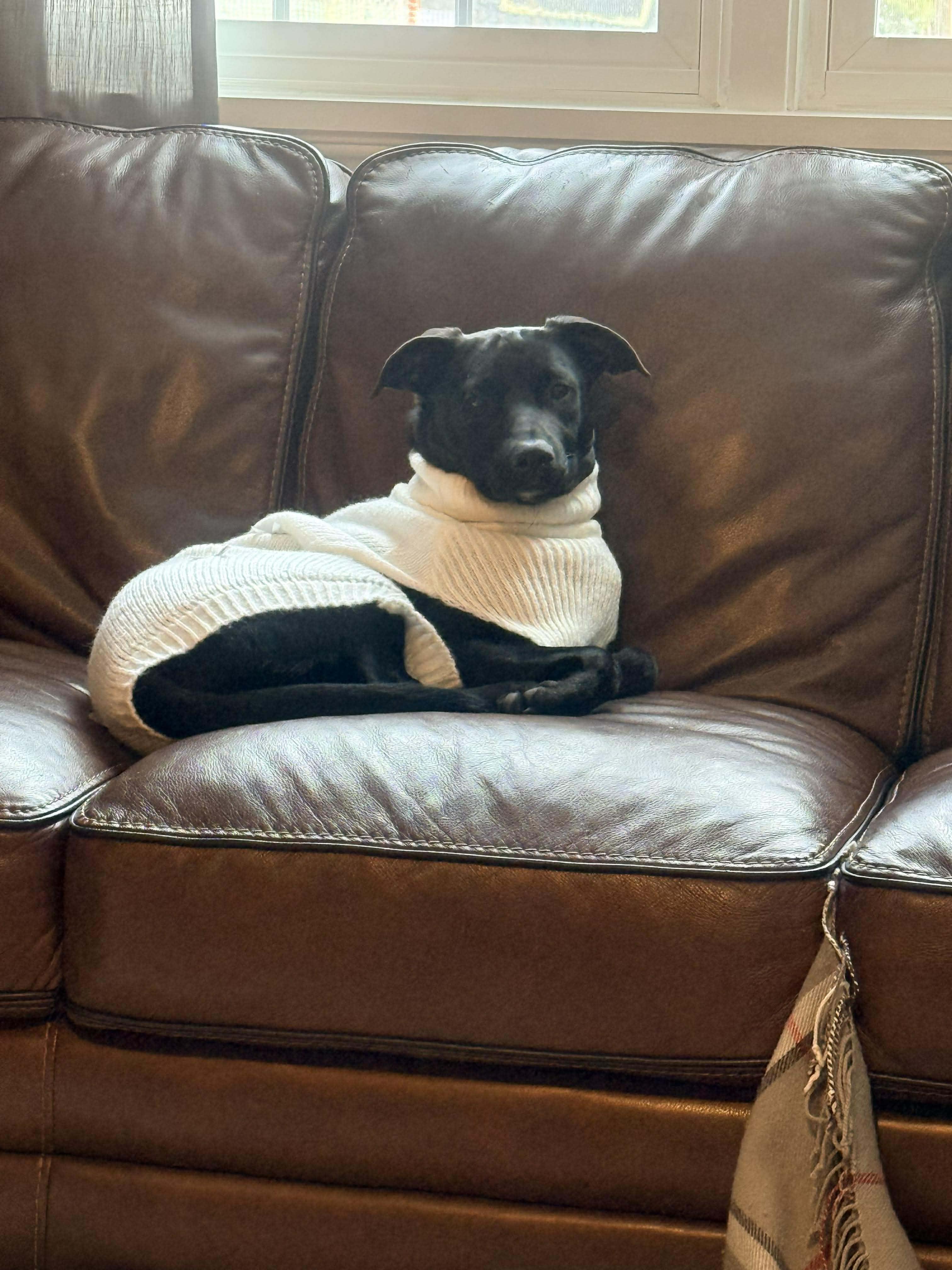 Mina Sara thumbnail 5