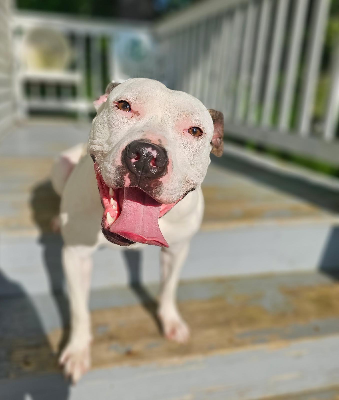 Petey