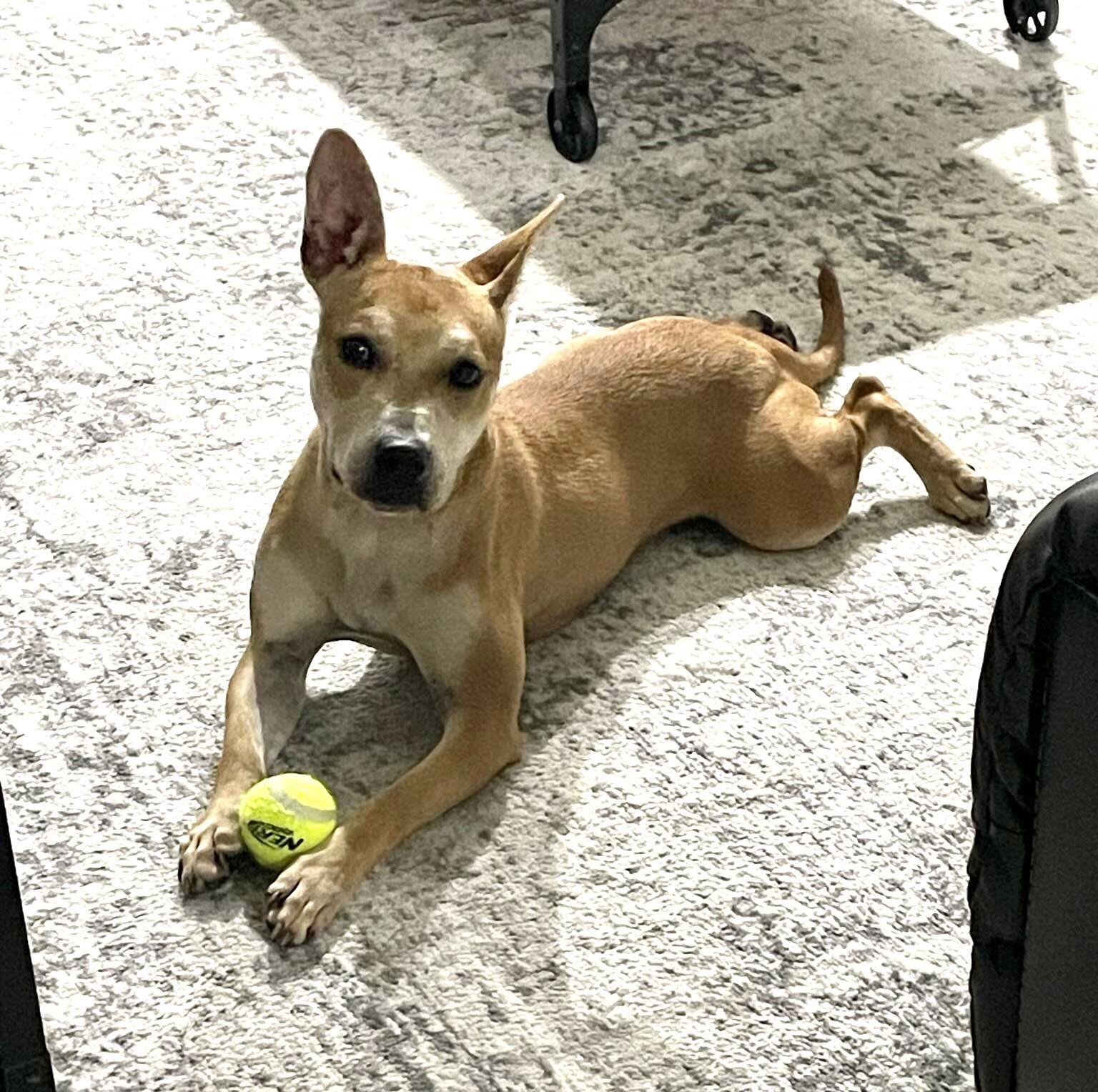 Cherokee thumbnail 2