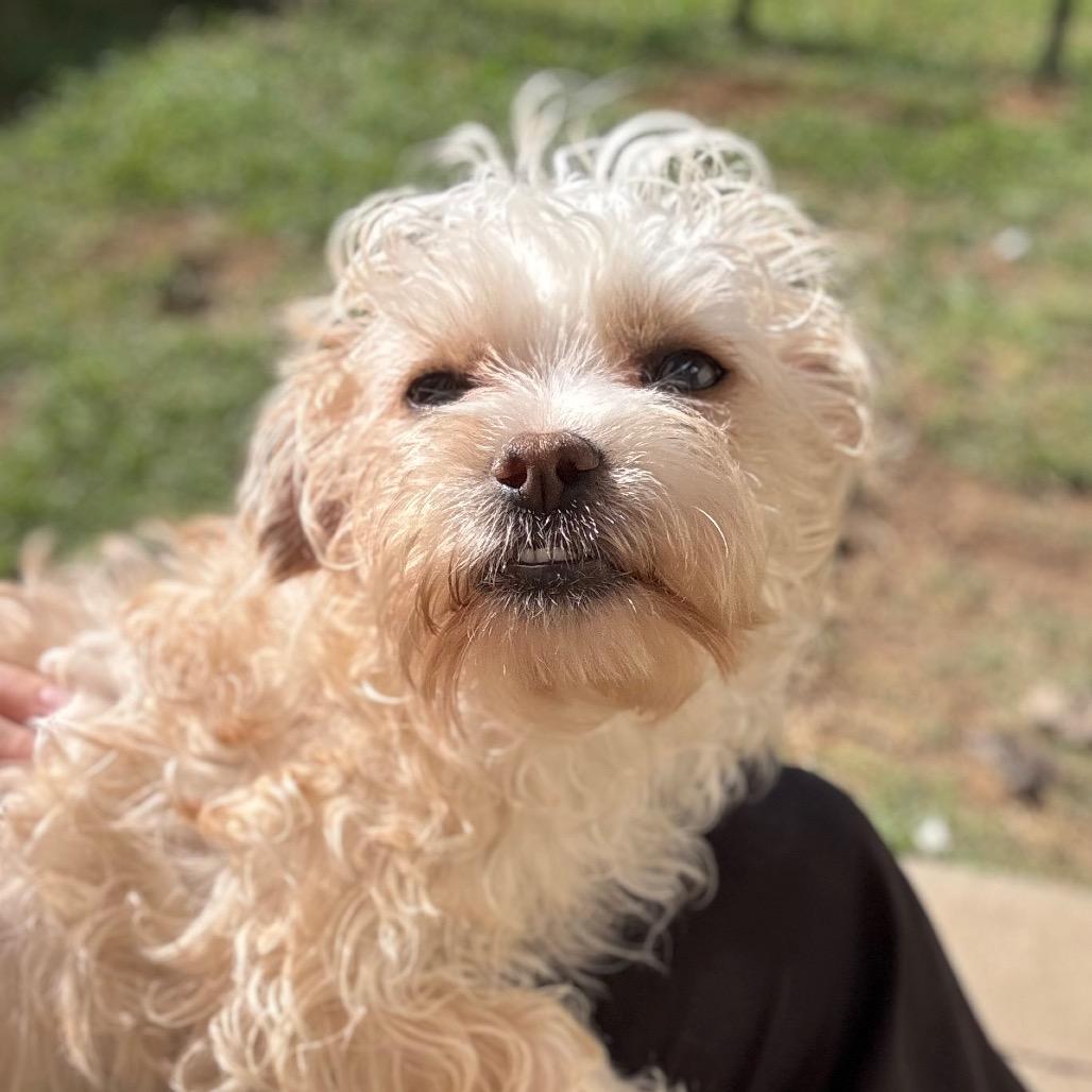 Samus — thumbnail 2