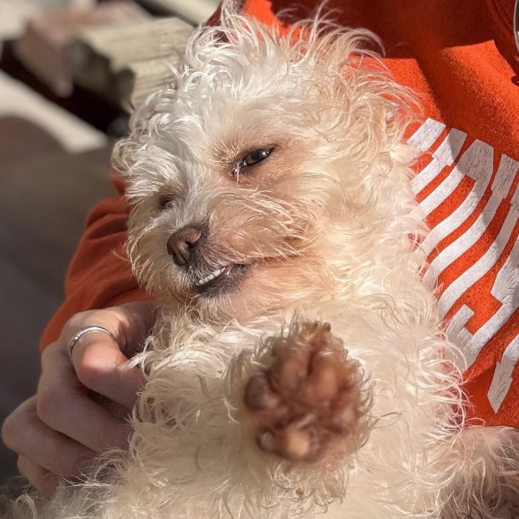 Samus — thumbnail 3