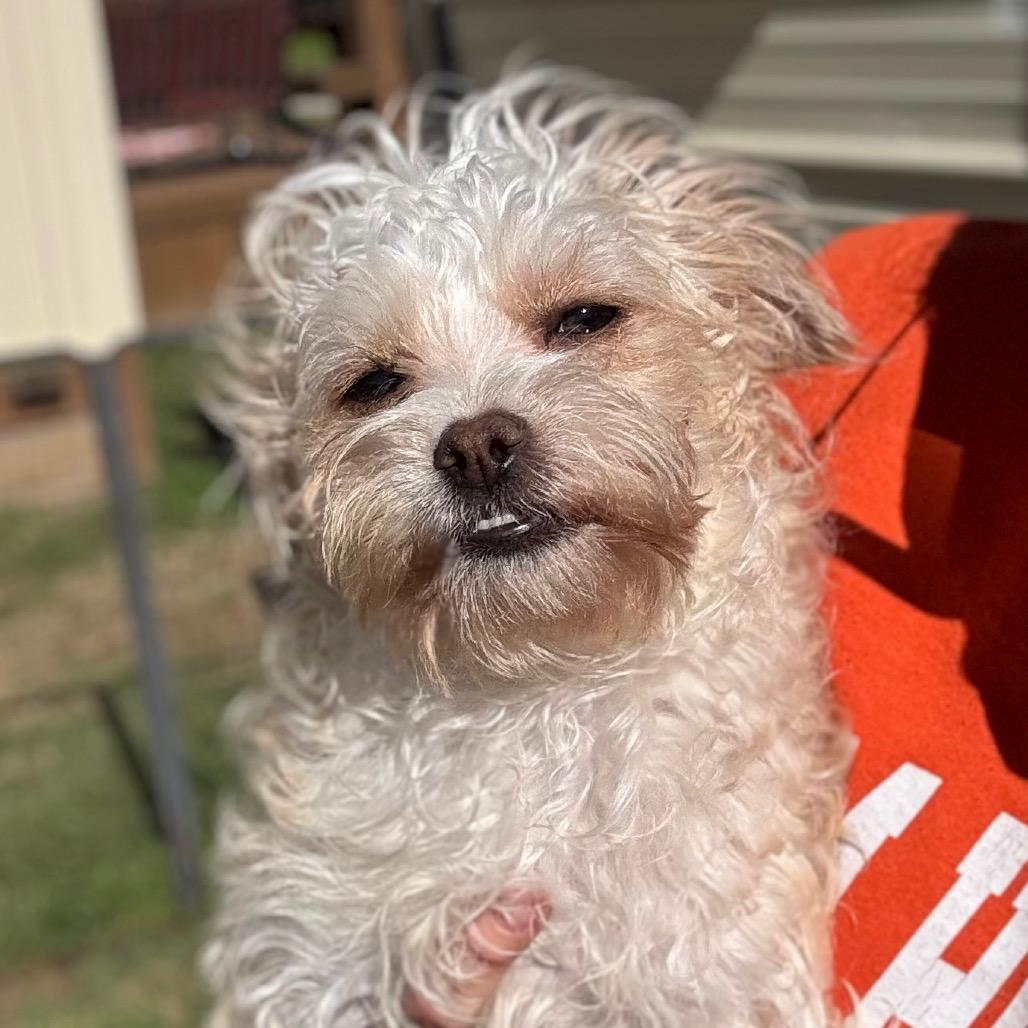 Samus — thumbnail 4